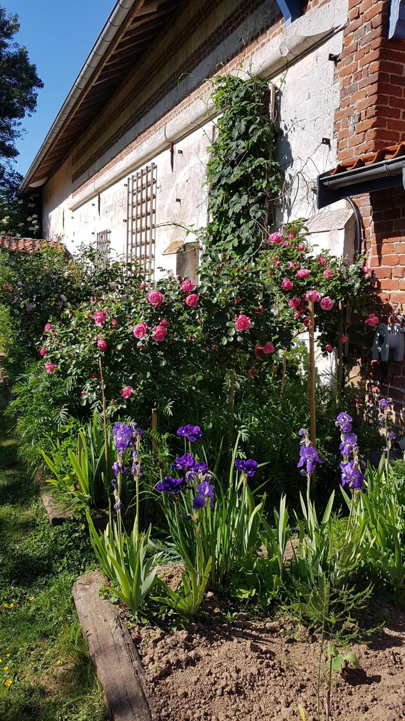 B&B au petit tambour d'Autingues