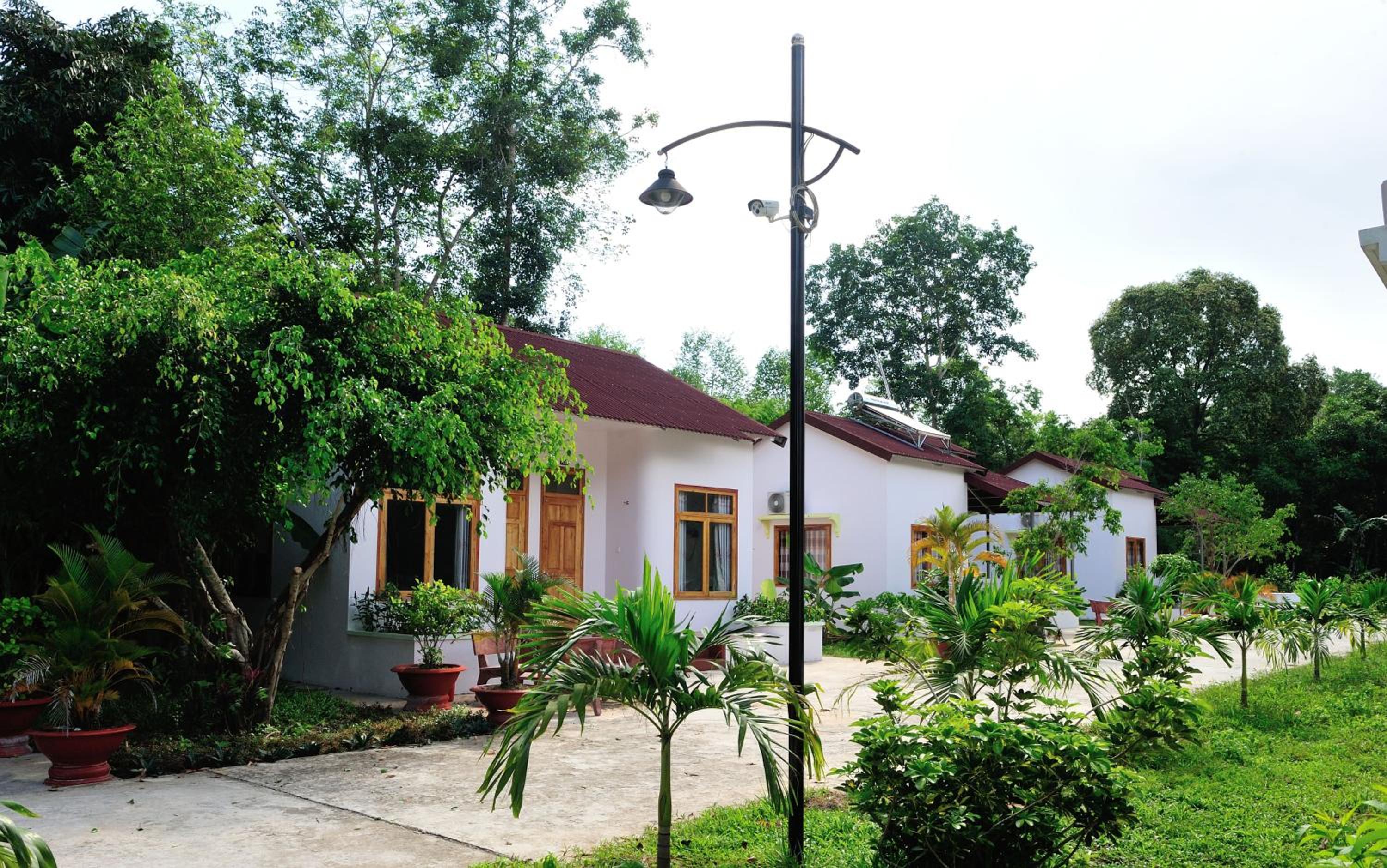 garden