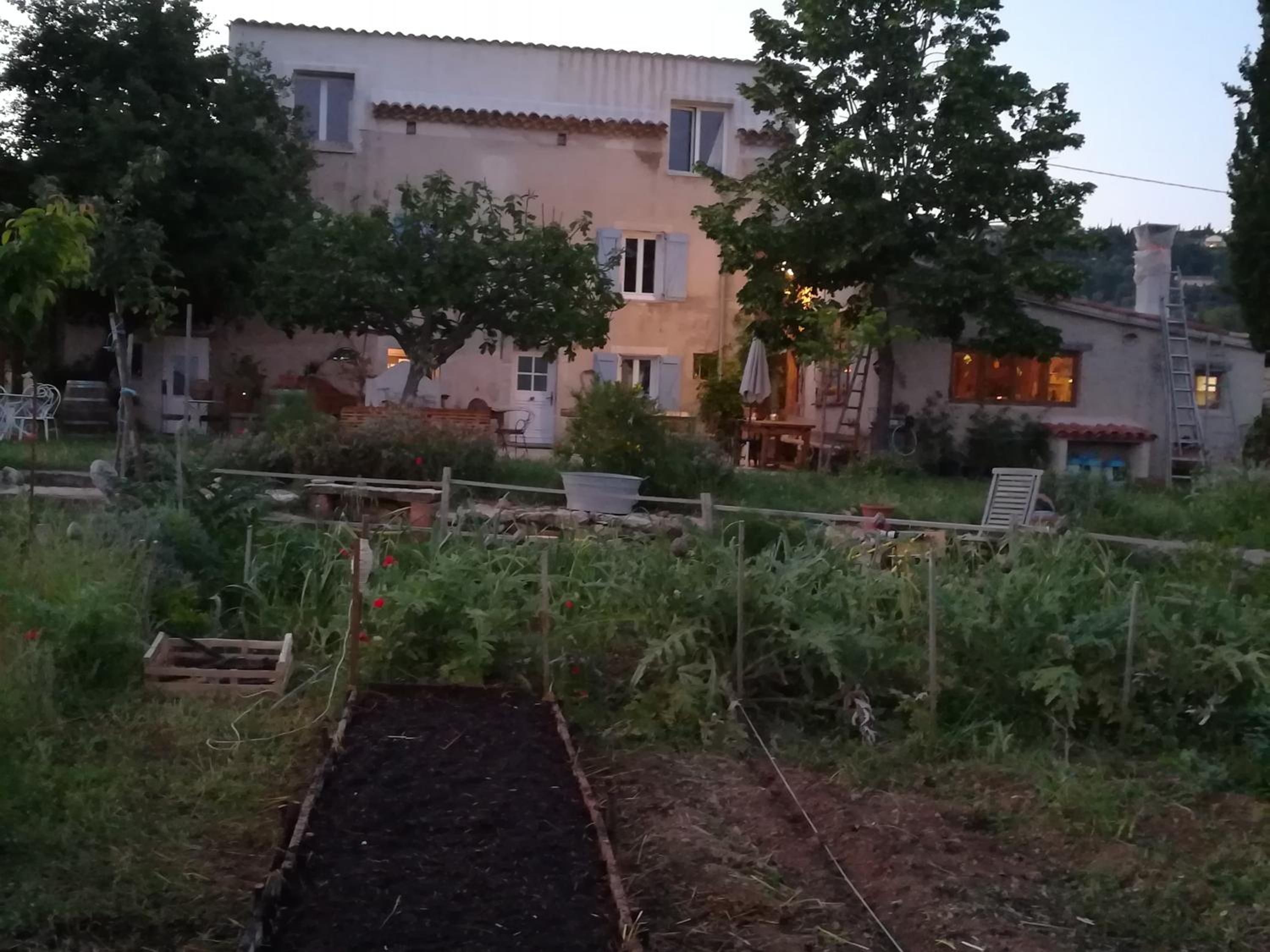 Photo 44
