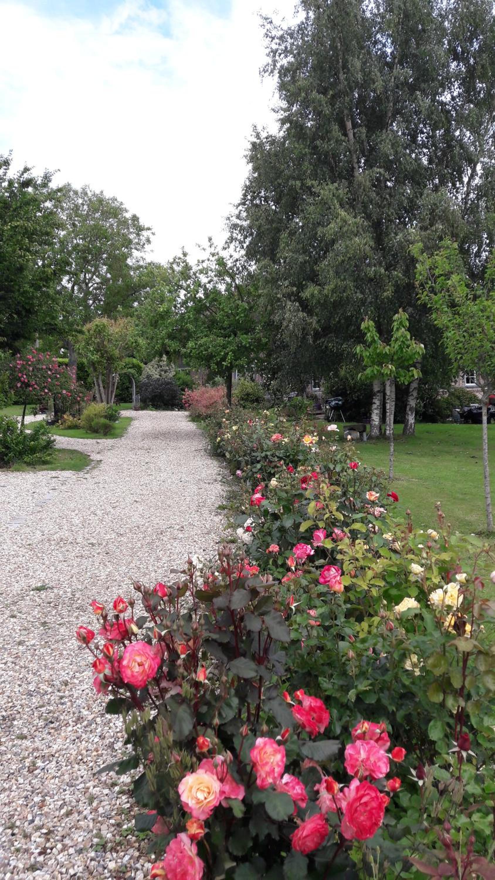 Photo 6