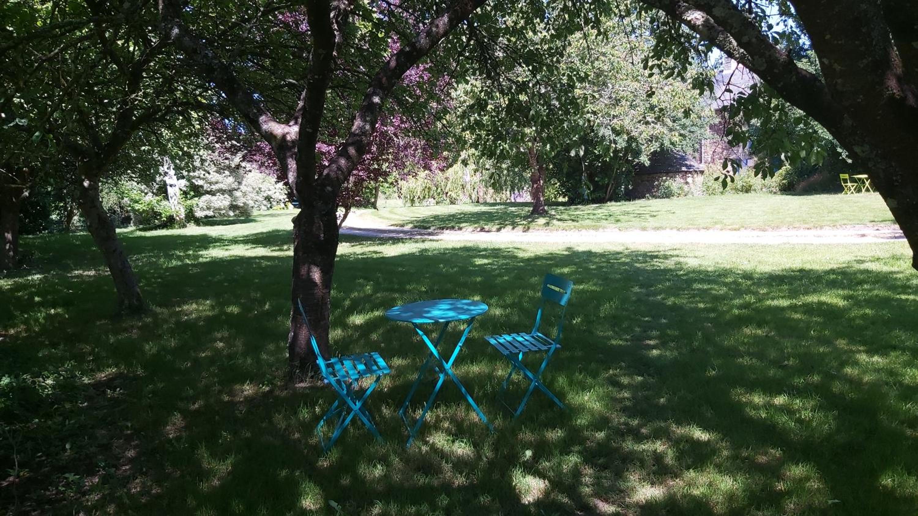 Photo 18