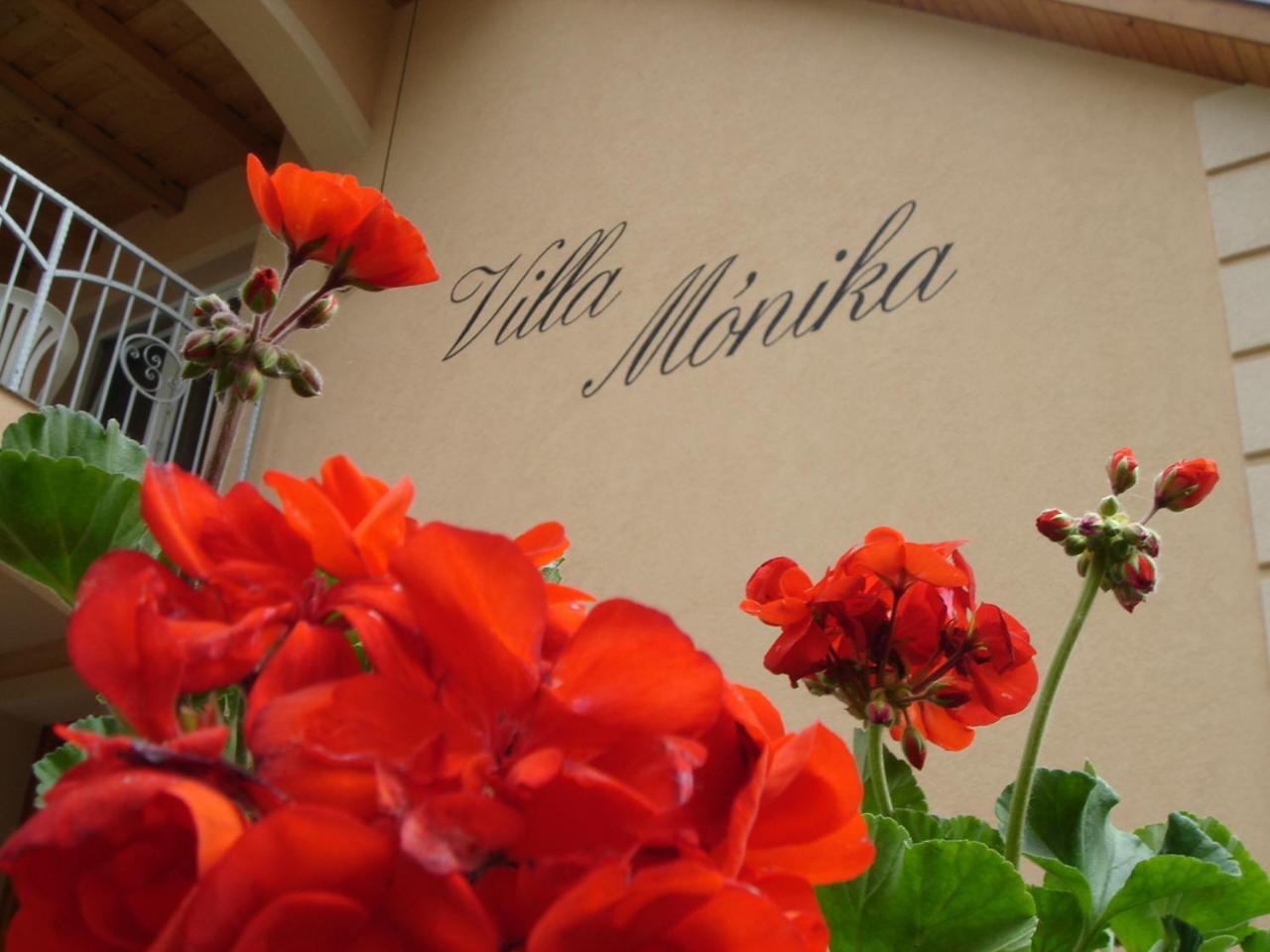 Villa Mónika view 2