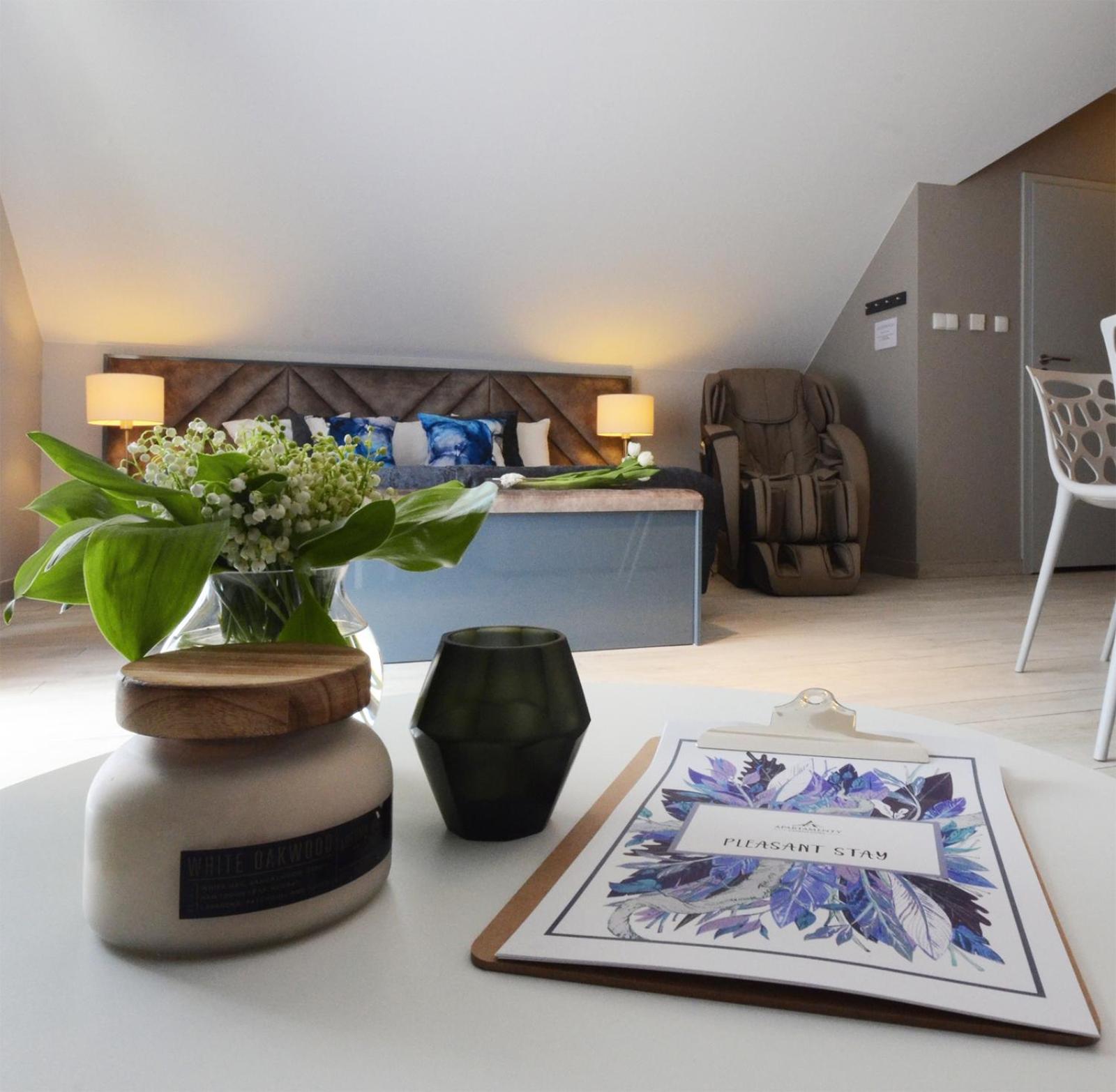 Apartamenty Biała Sowa Czarna Góra view 4