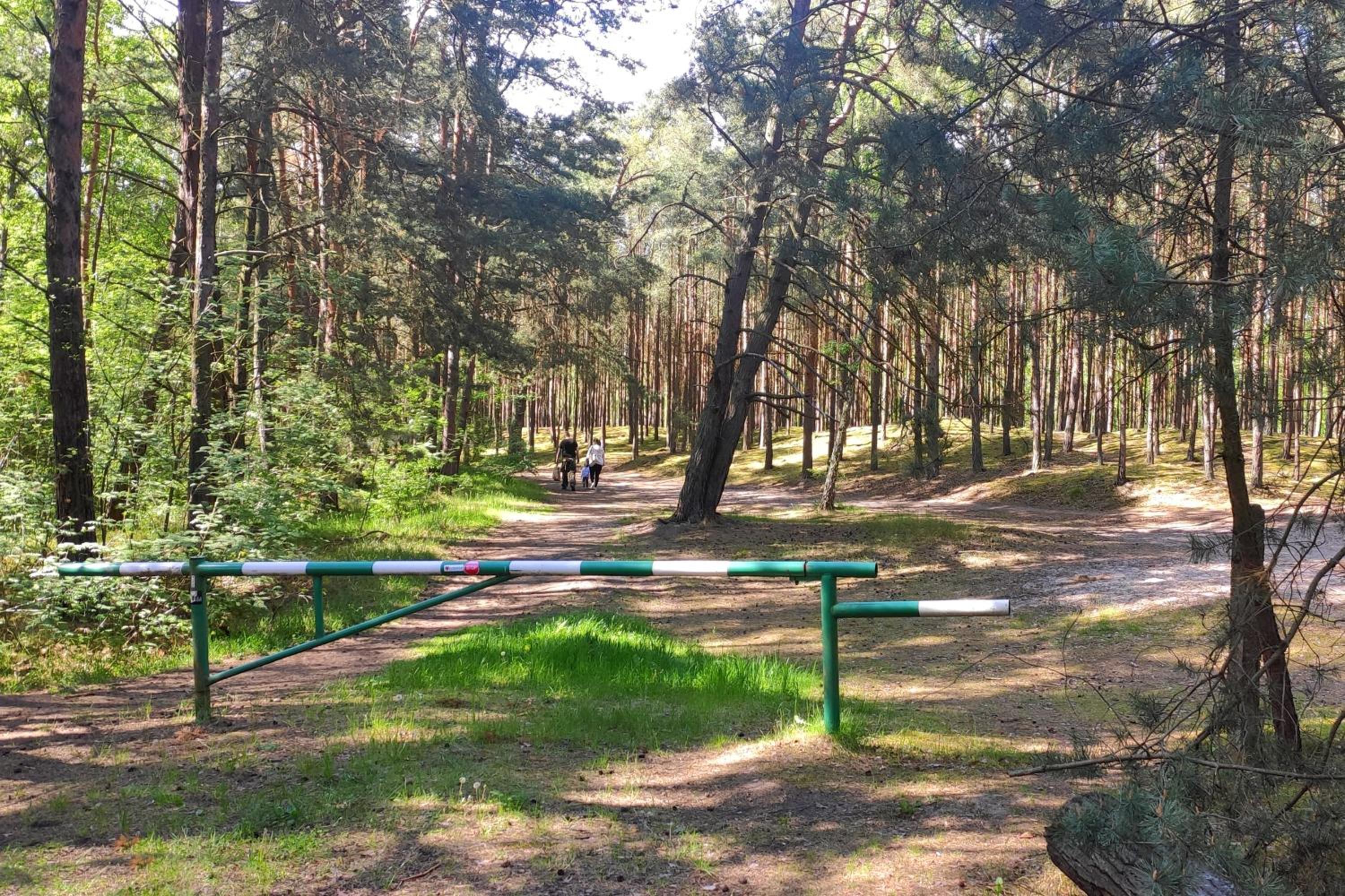 Camp Bursztynowy Las — photo 10