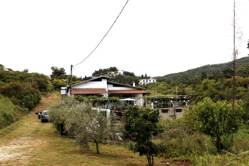Photo 40