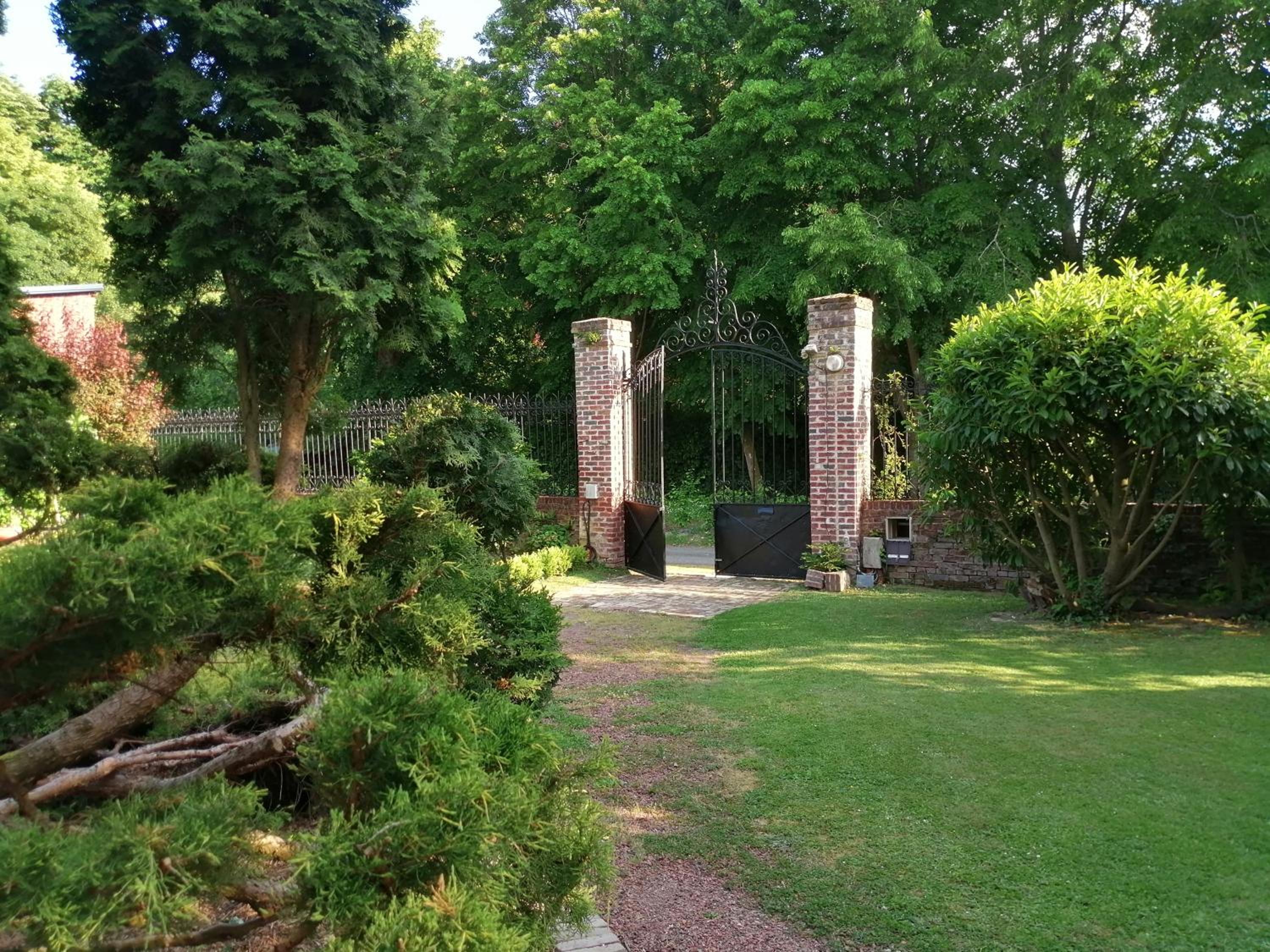 Photo 8
