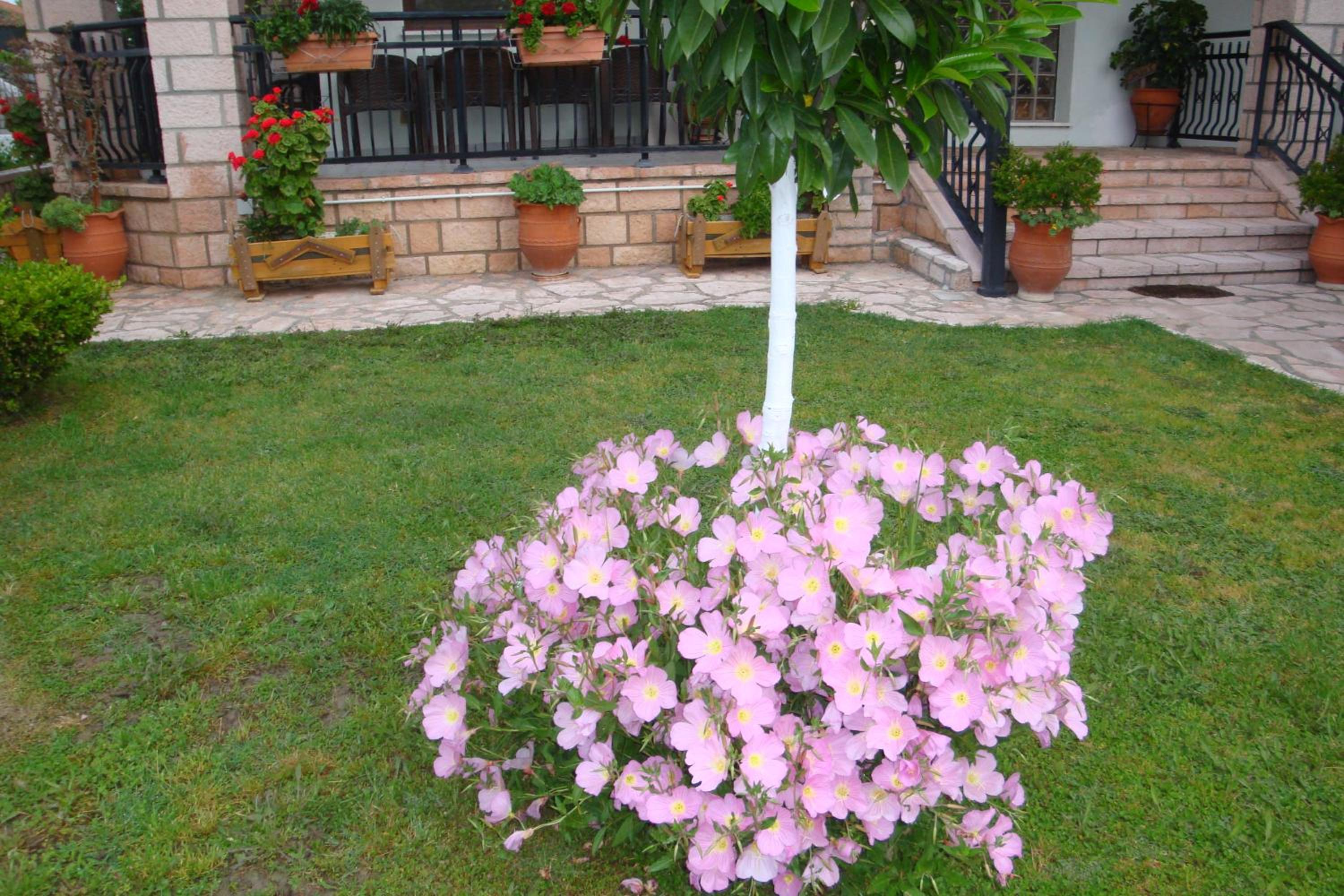 Photo 78