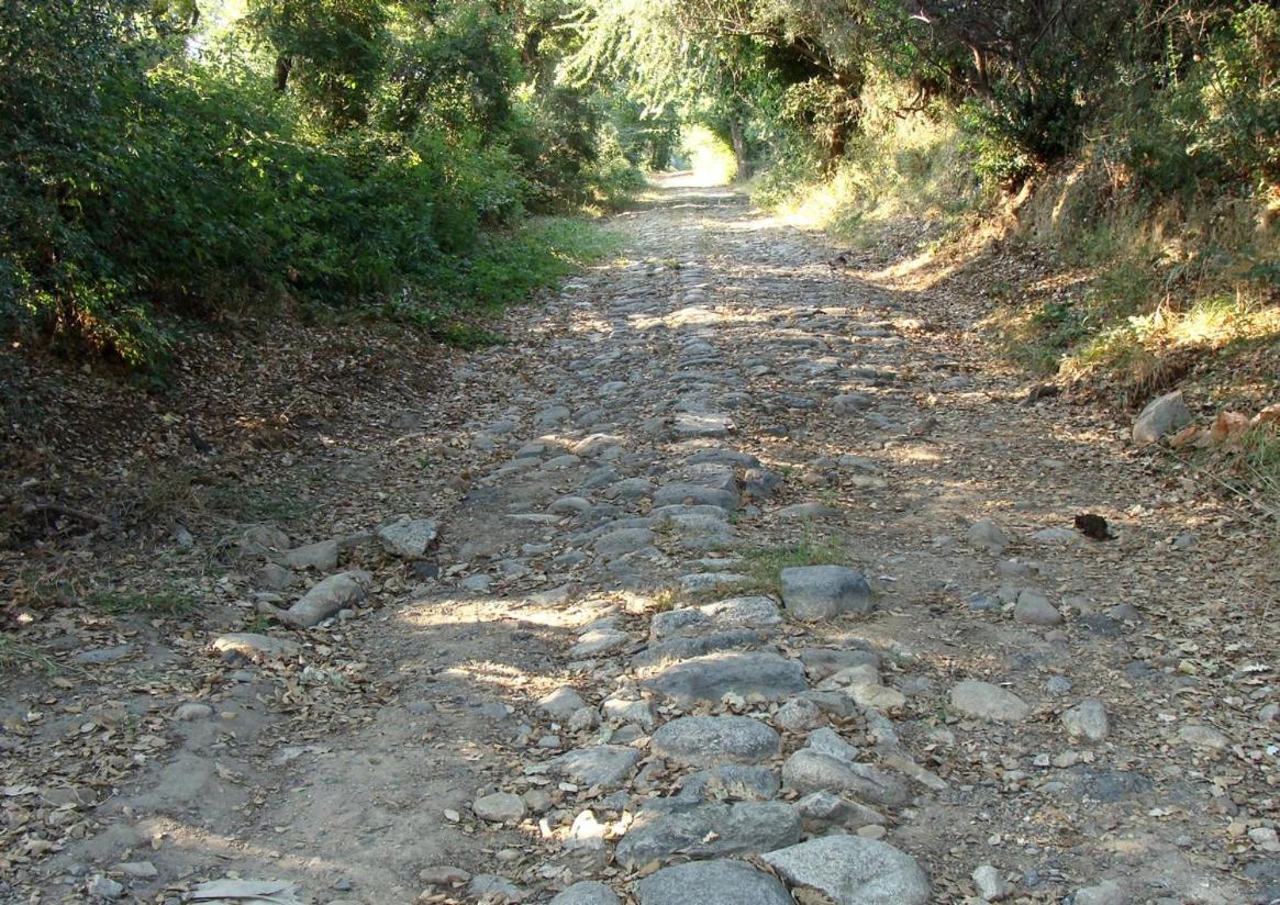 Photo 37