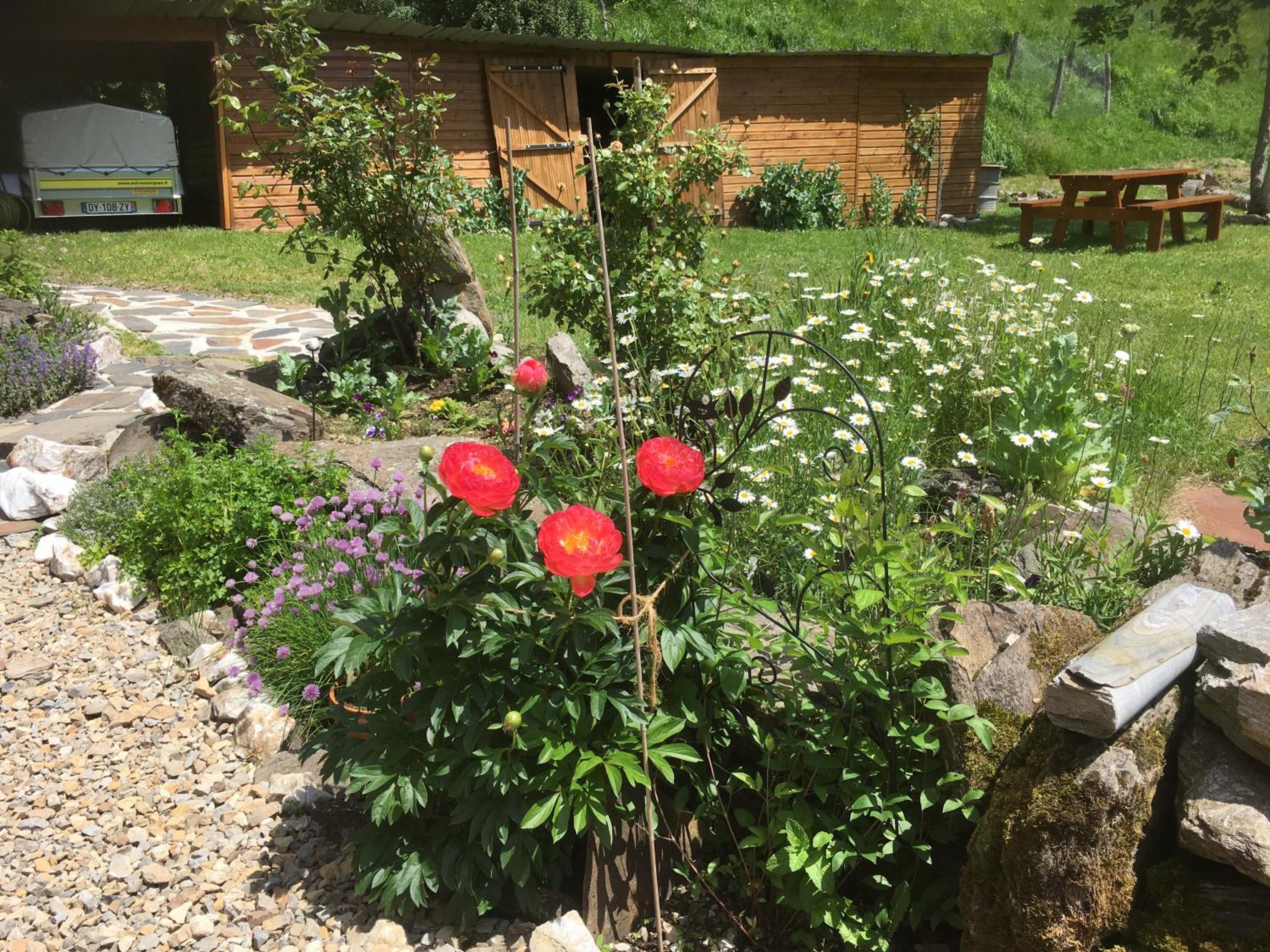 Photo 19