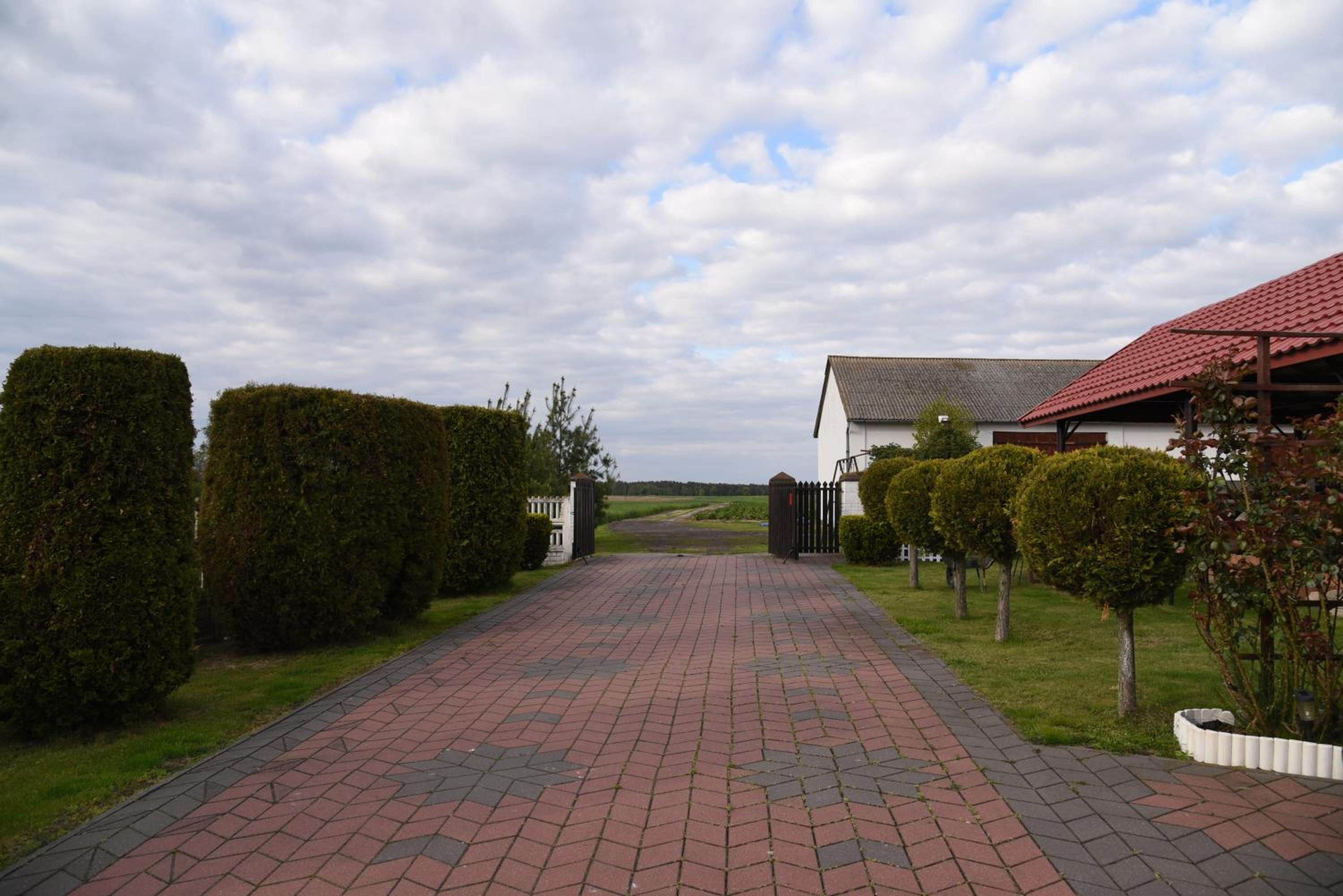 Photo 44