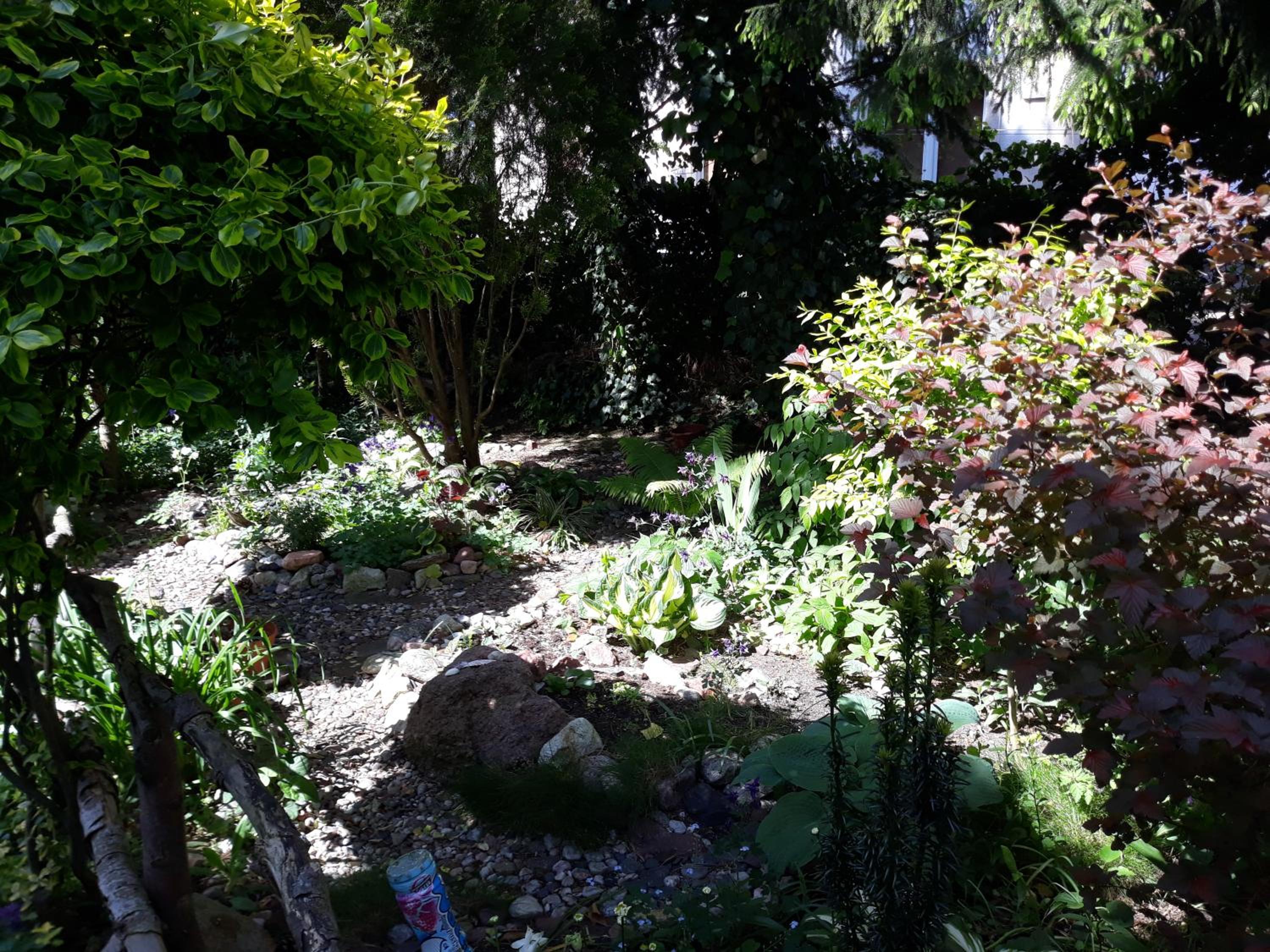 Photo 44