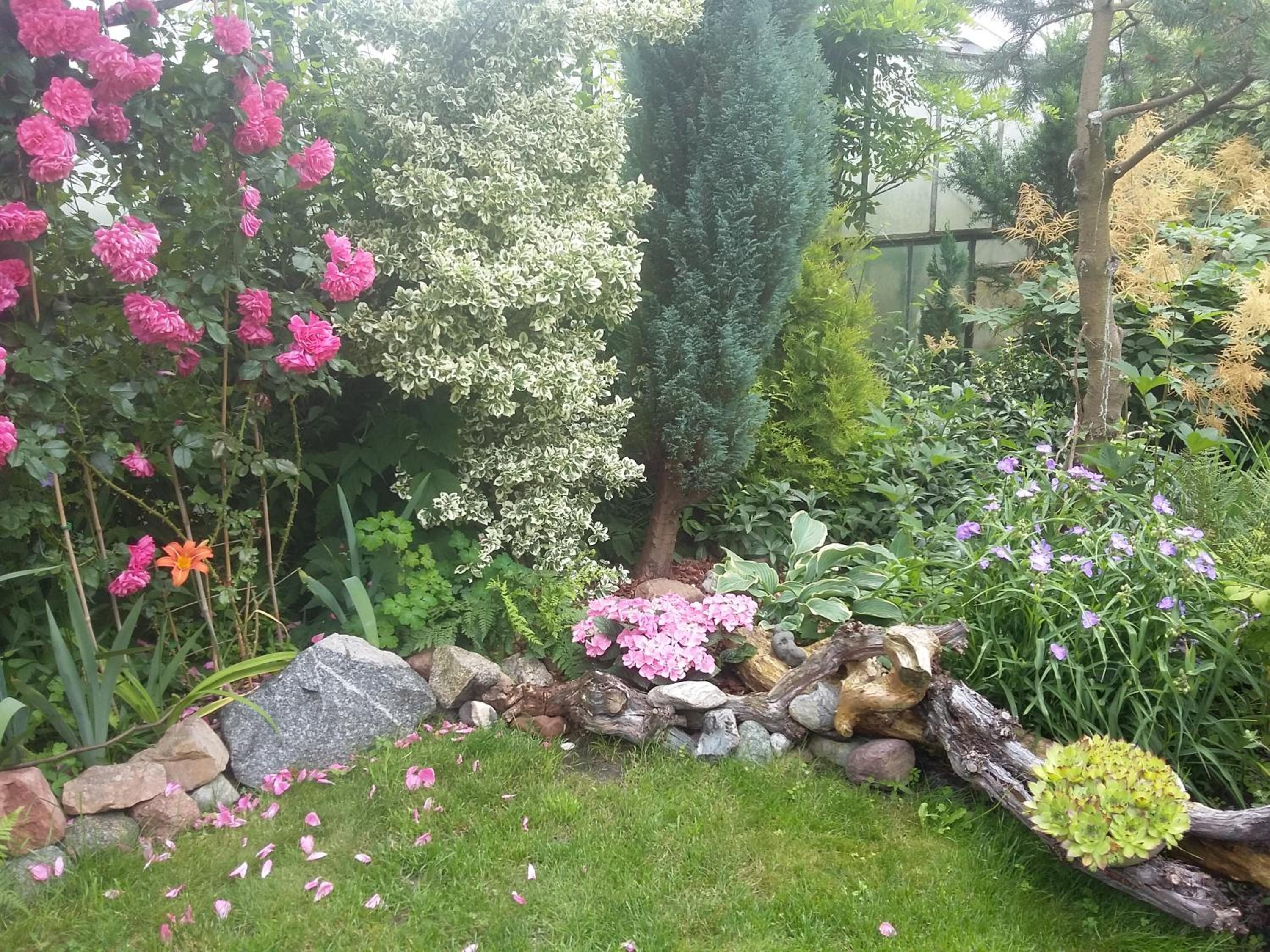 Photo 48
