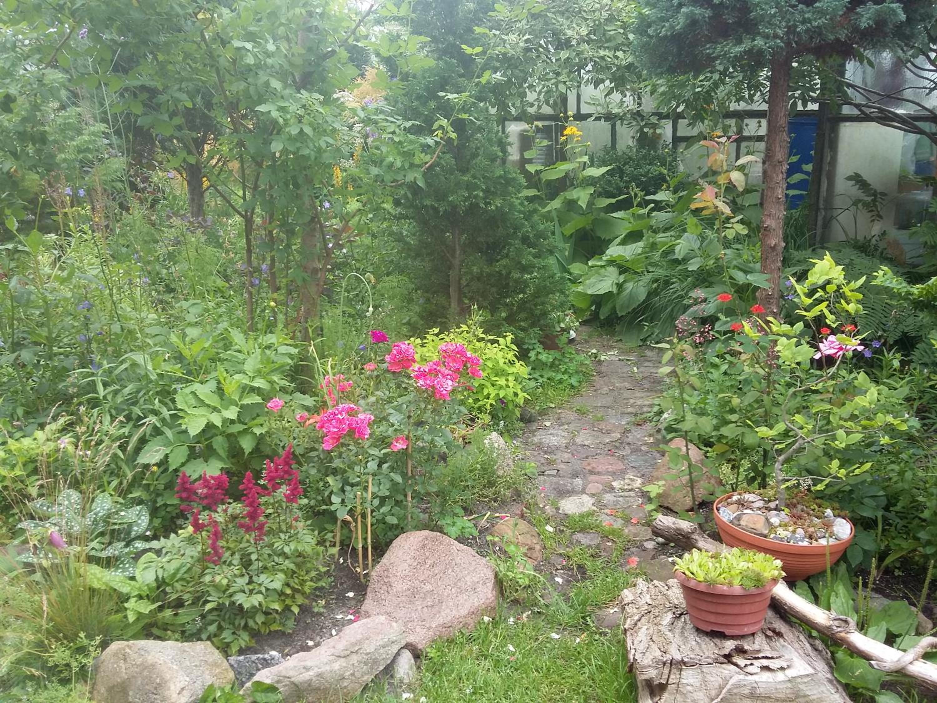 Photo 43