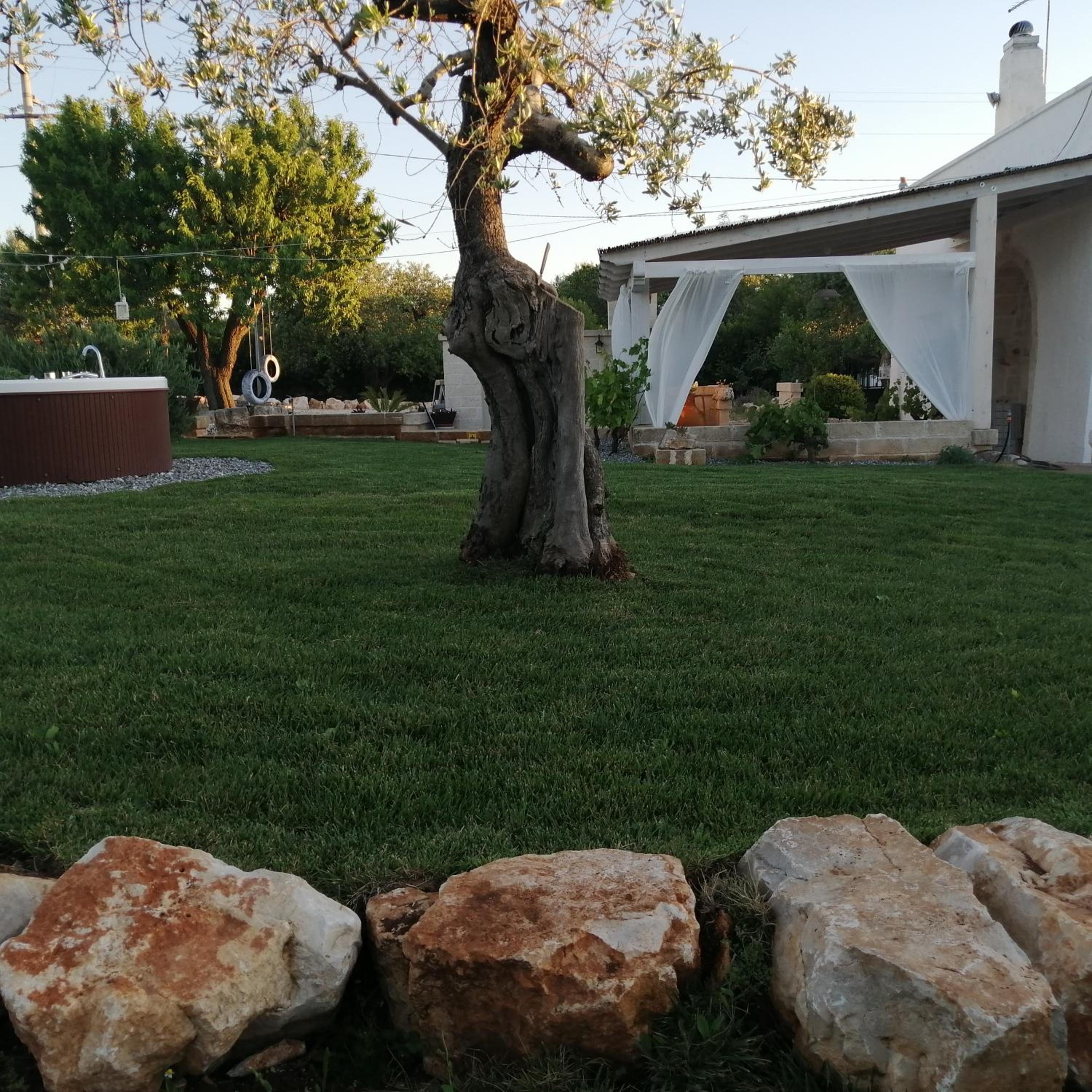Trullo Antico photo 5
