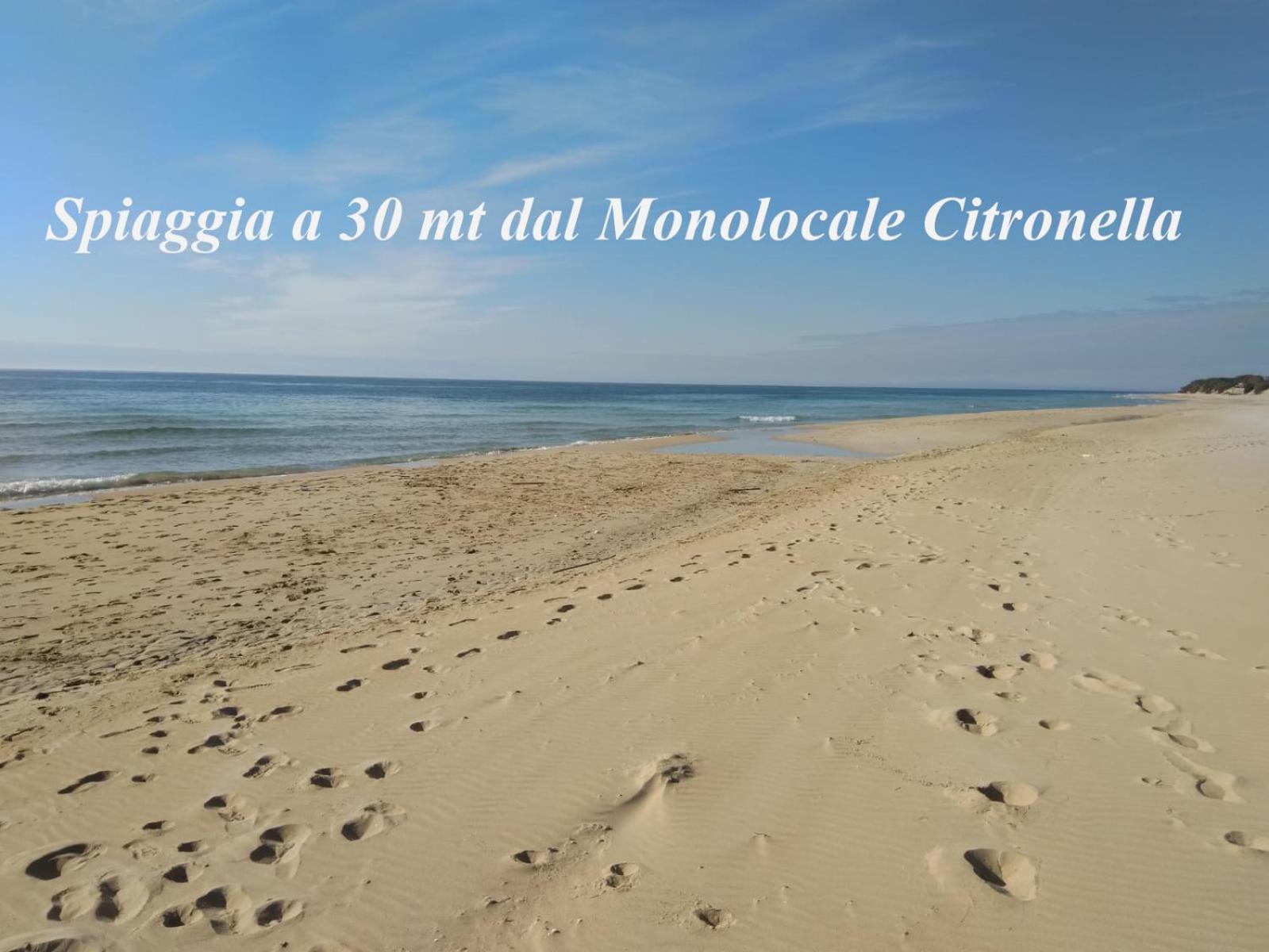 Monolocale Citronella a due passi dal mare photo 1