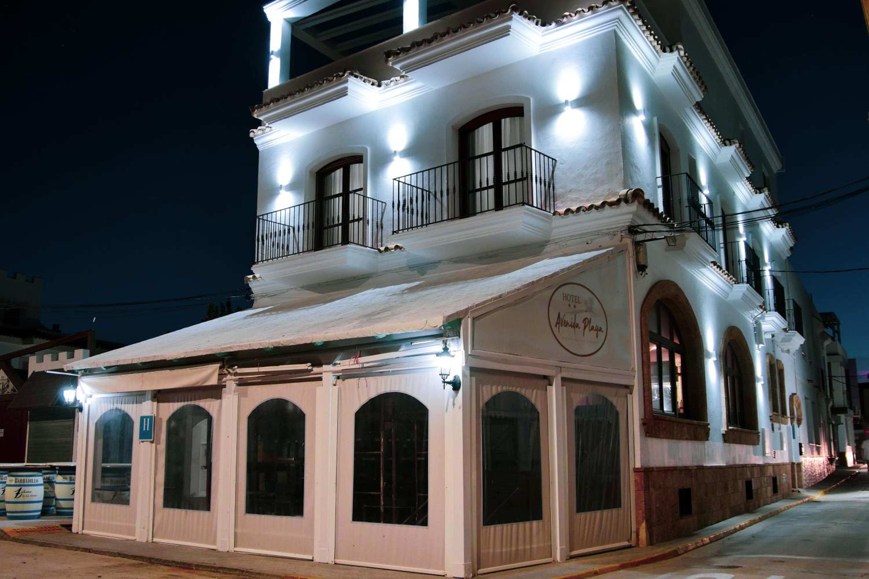 Hotel Avenida Playa photo 2