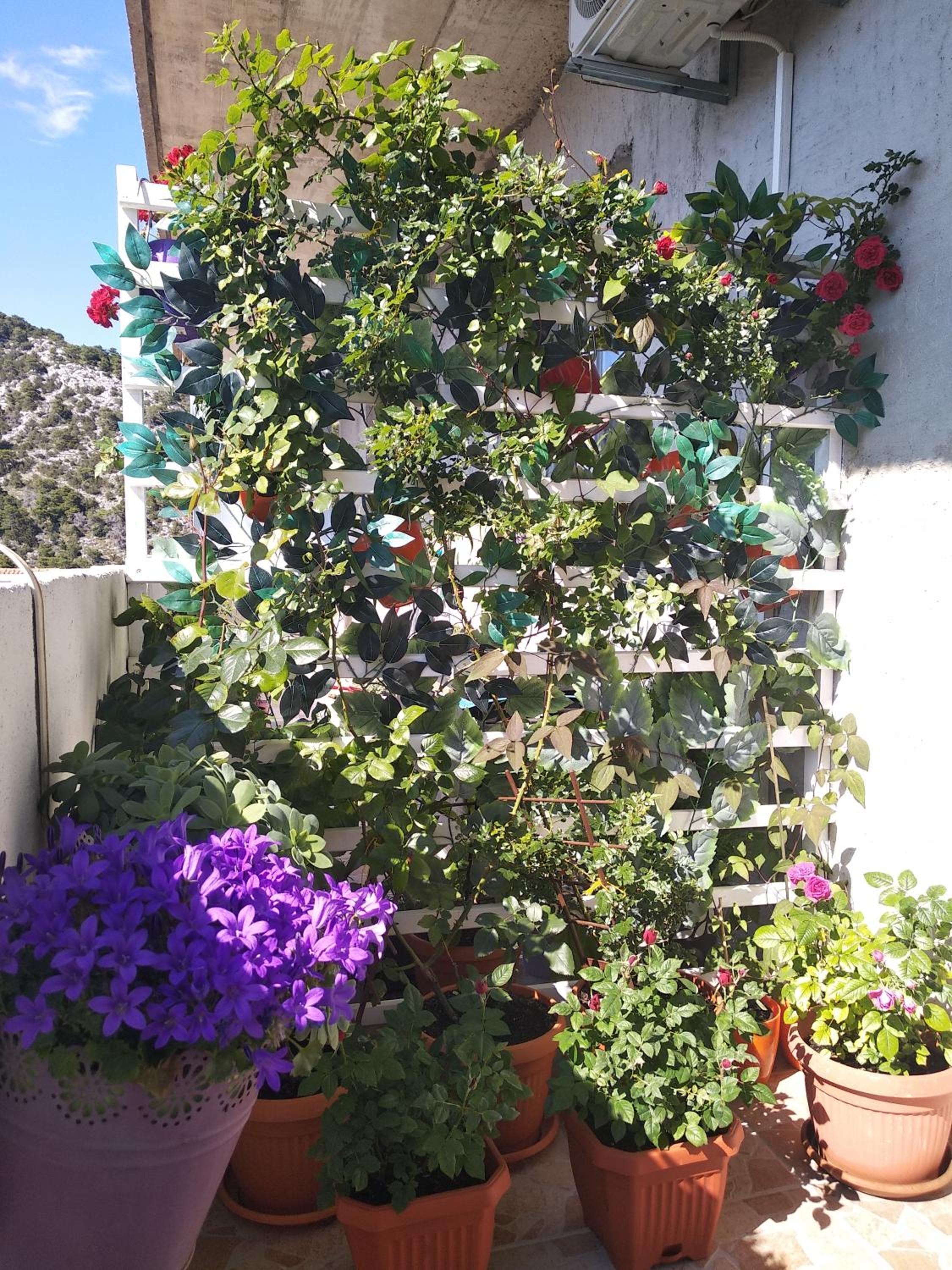 Photo 32
