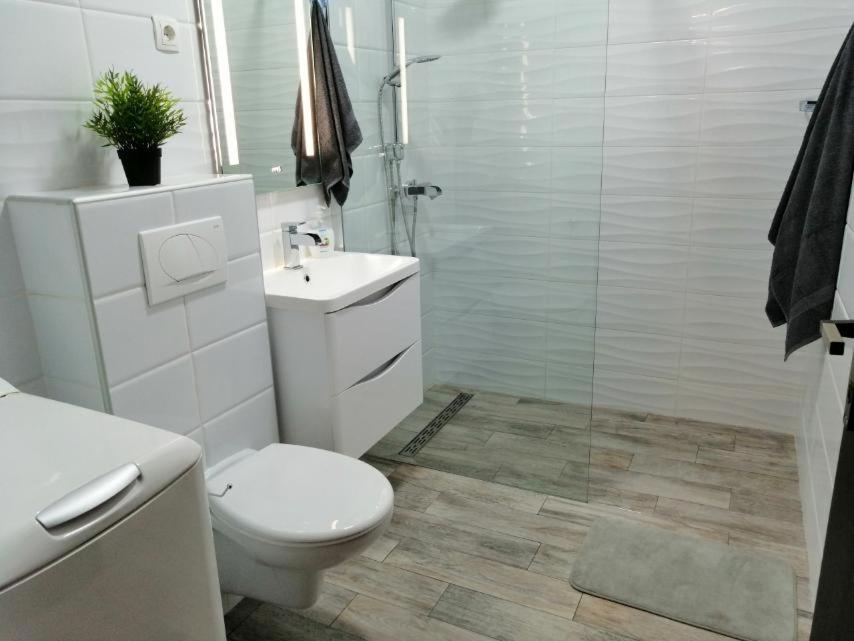 Apartman Sanja view 5