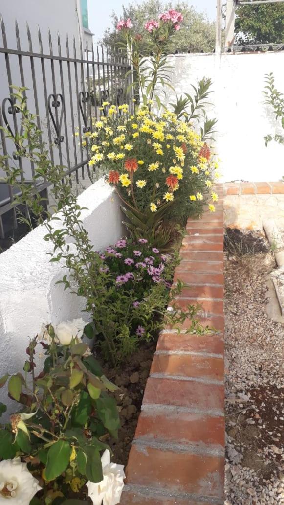 Vila Juna