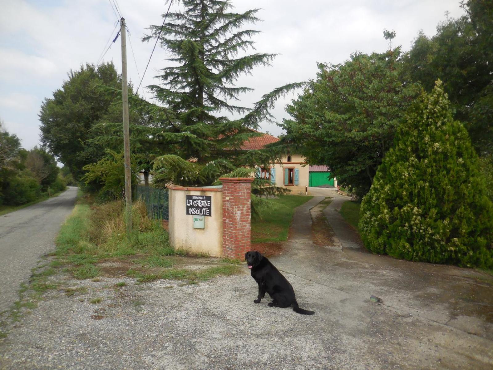 Photo 19