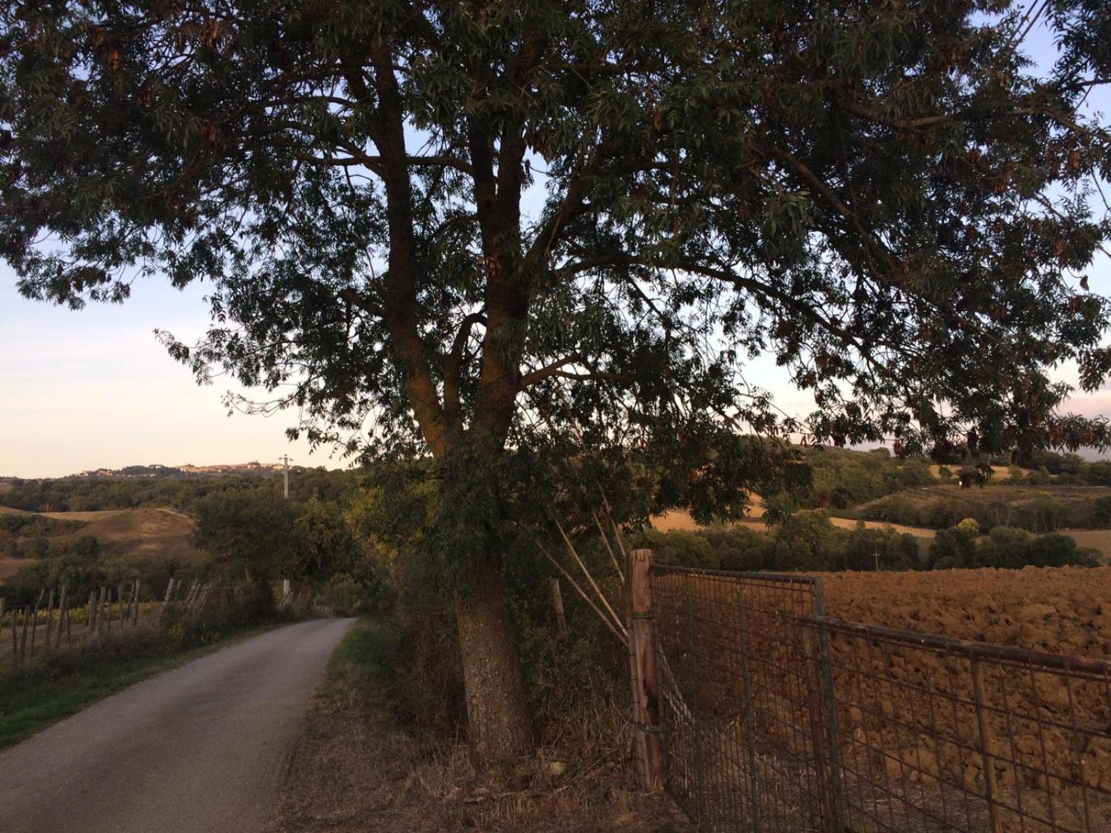 Tenuta Santa Maria photo 4