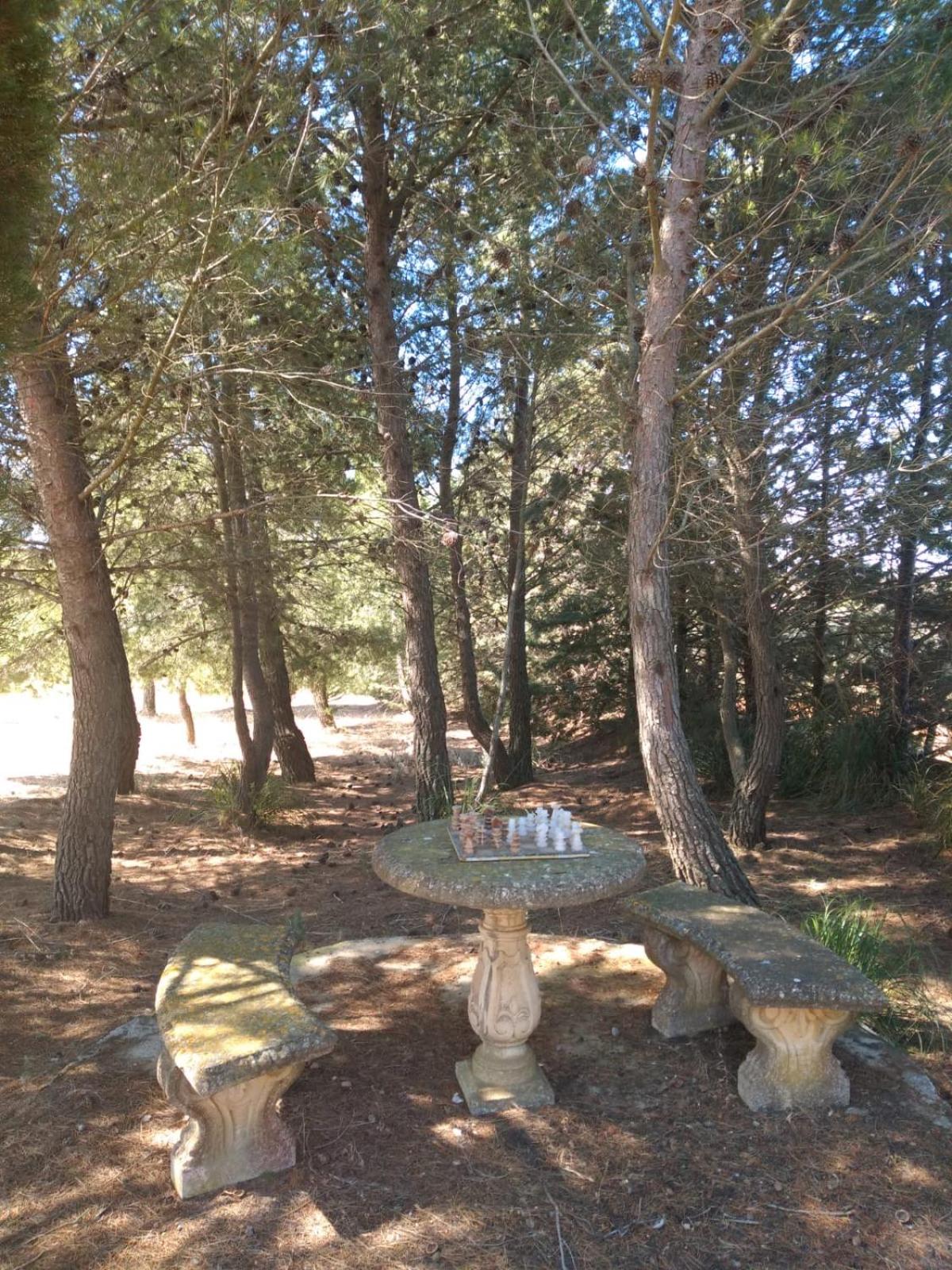 Photo 20