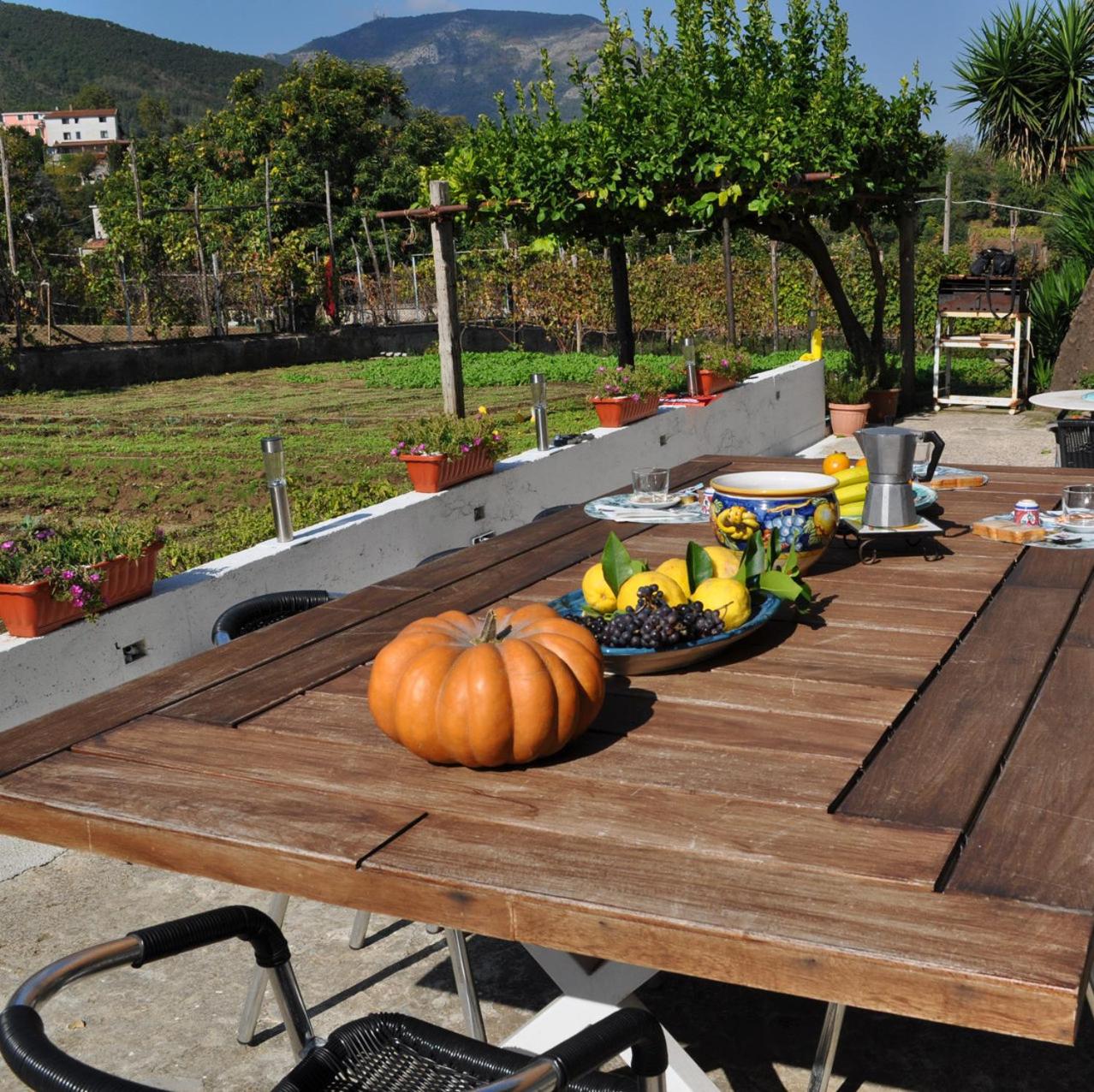 Contrada Vigna view 2