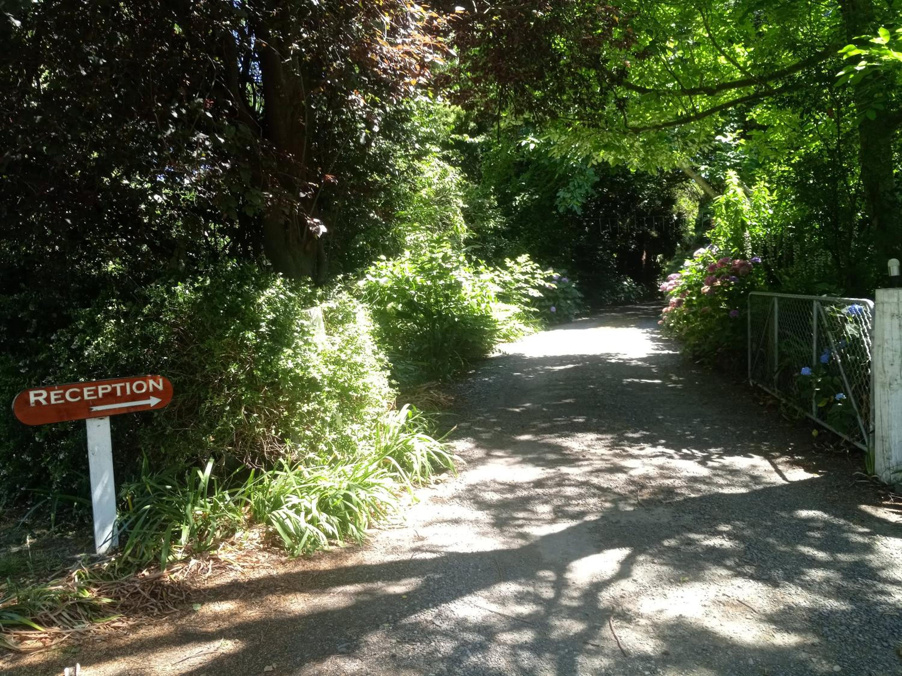 Photo 23