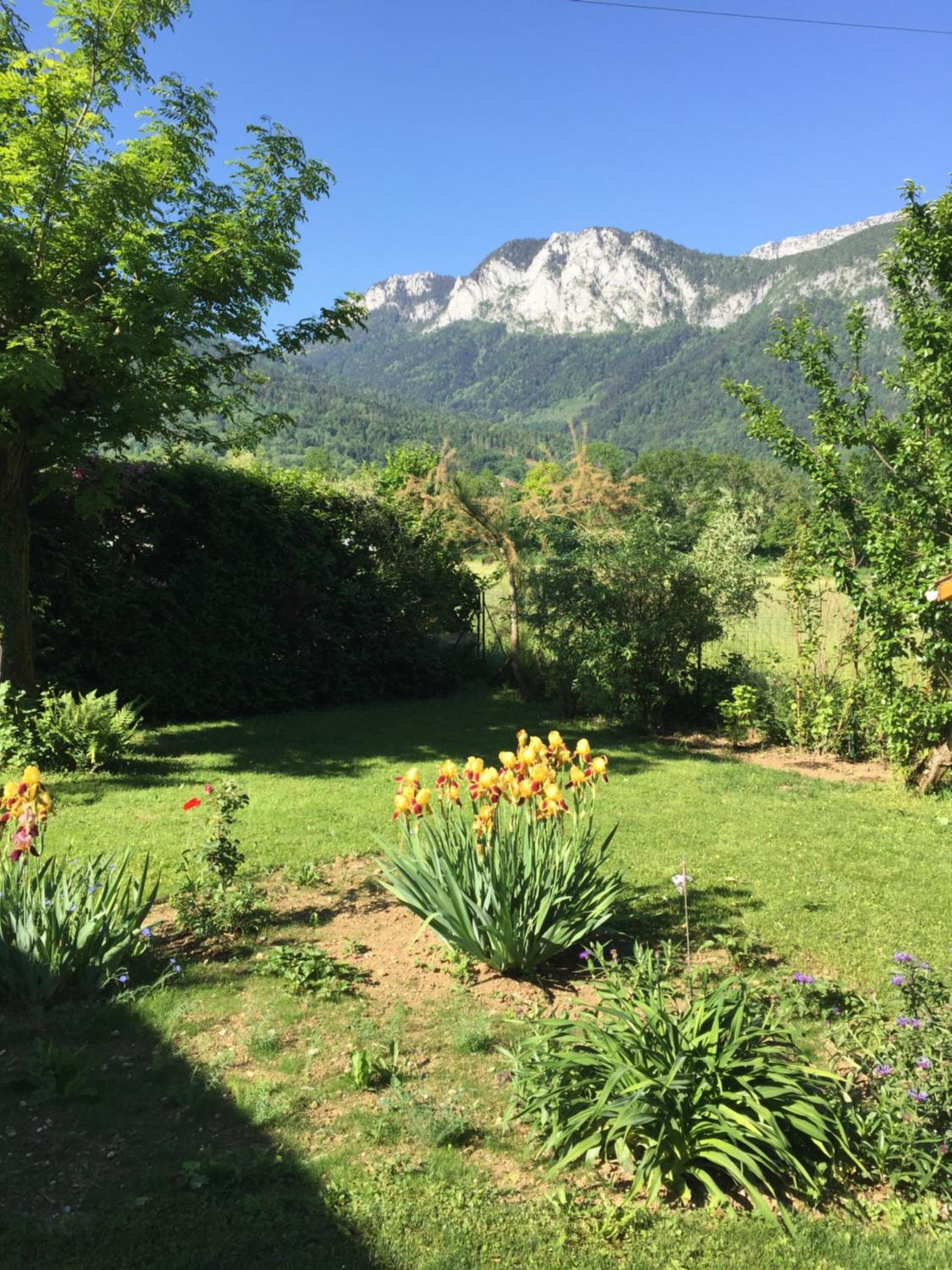 Lac d'Annecy view 3