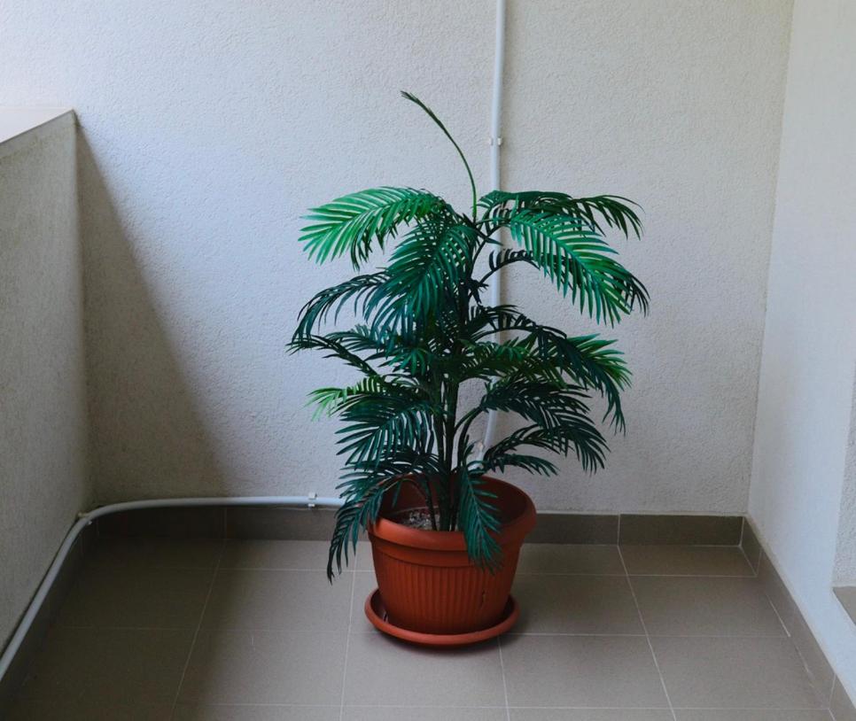 Photo 45