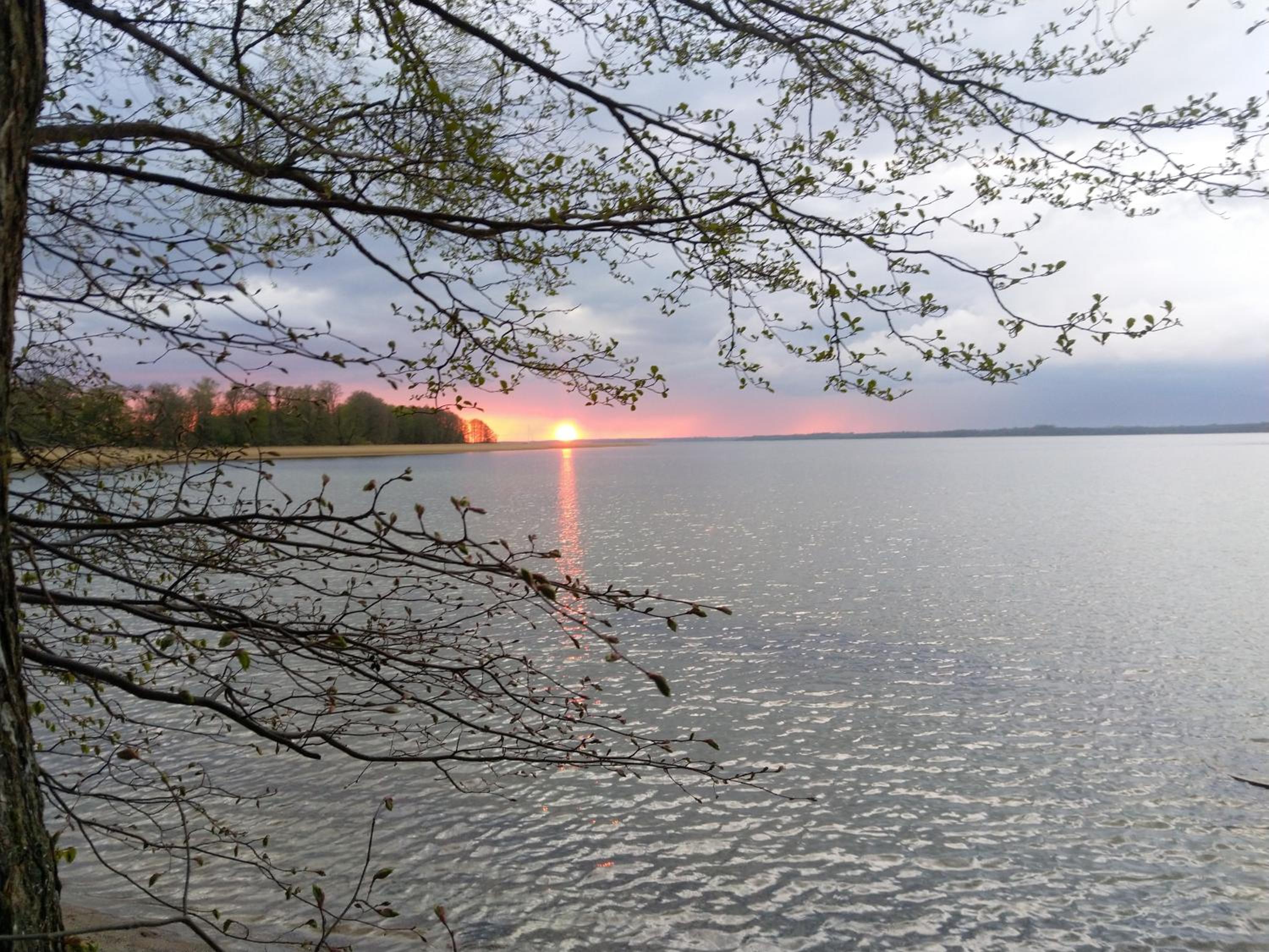Dom Królewski Róg view 5