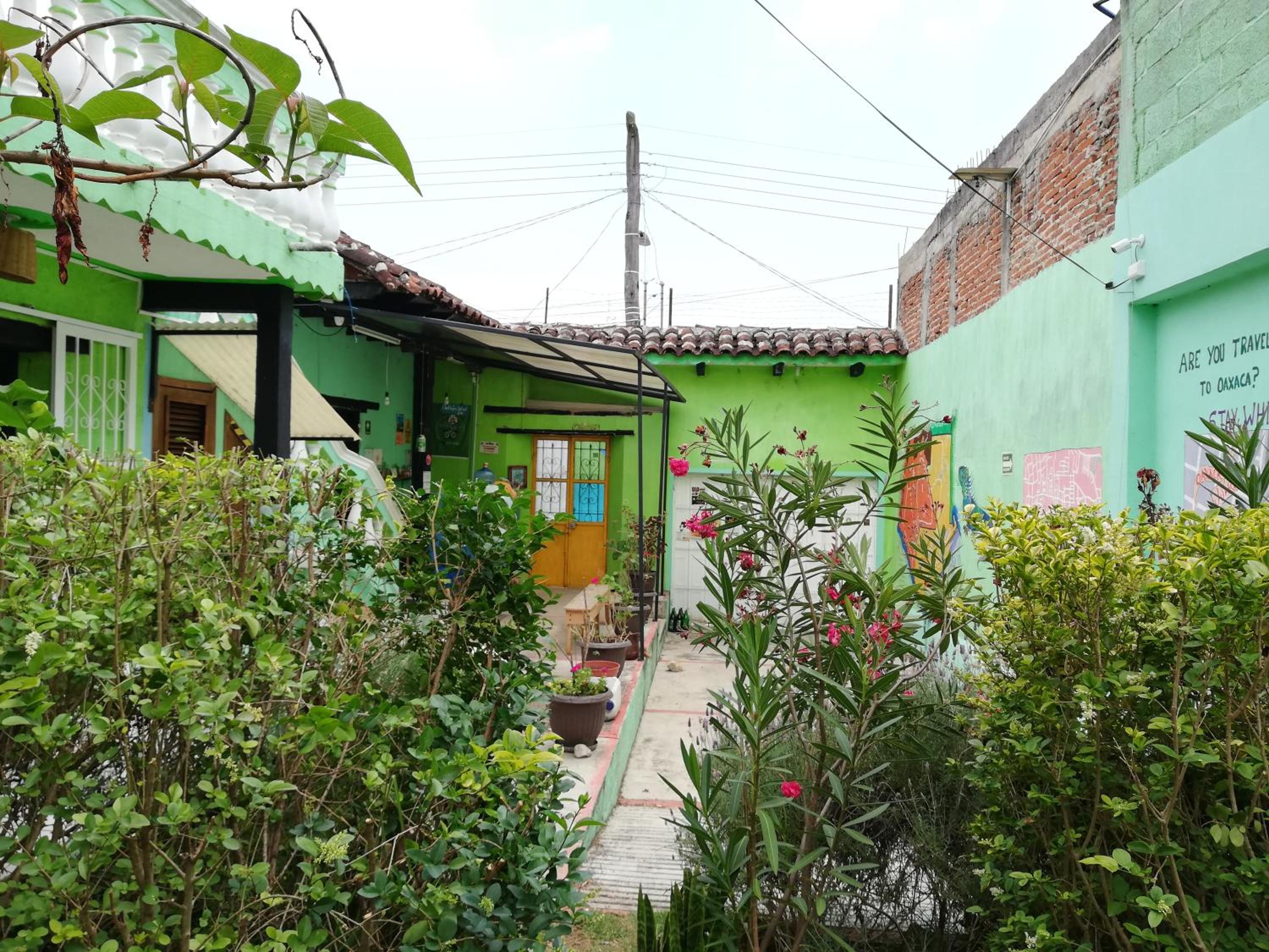 Iguana Hostel view 4