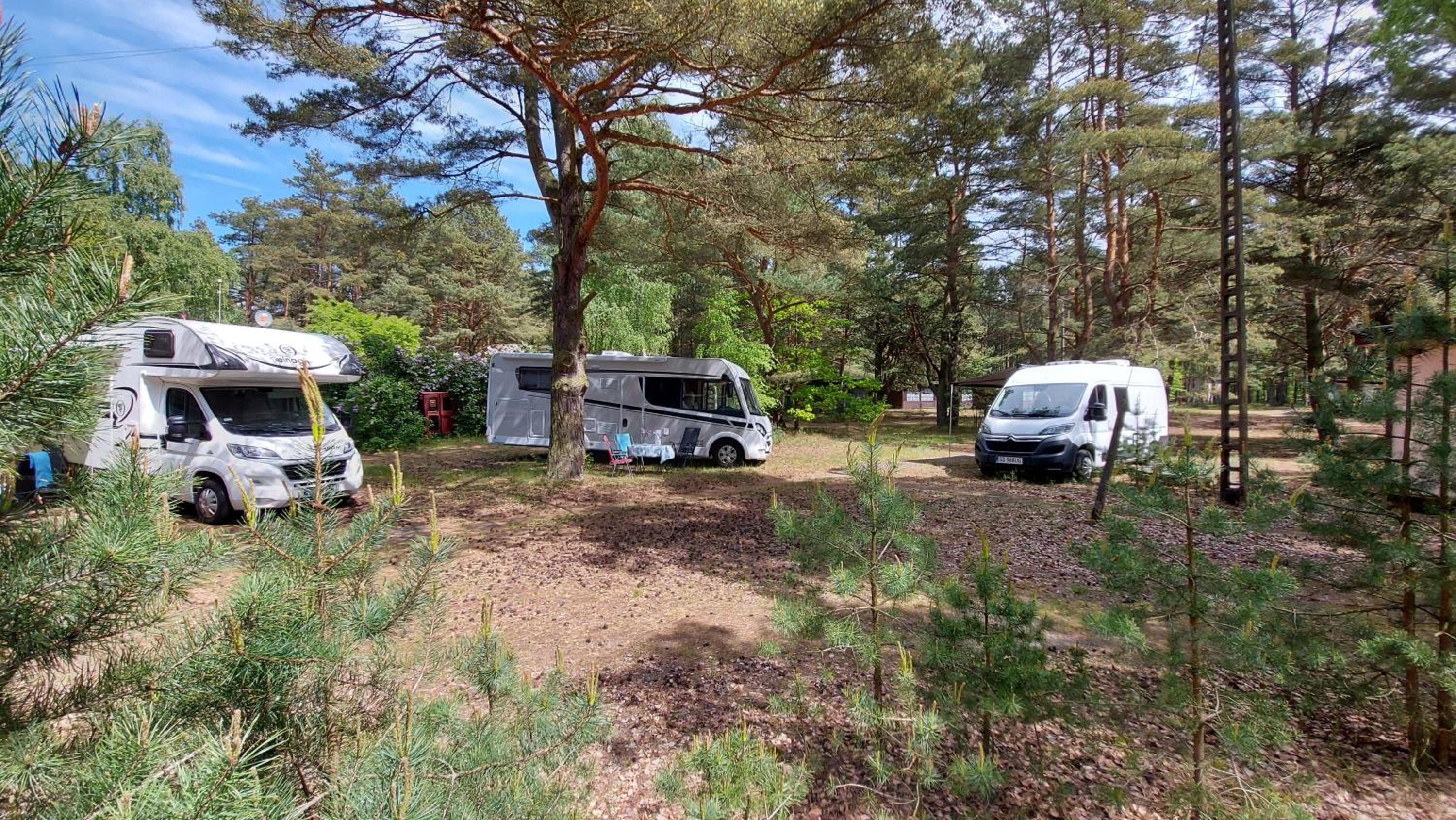 Camp Bursztynowy Las — photo 14