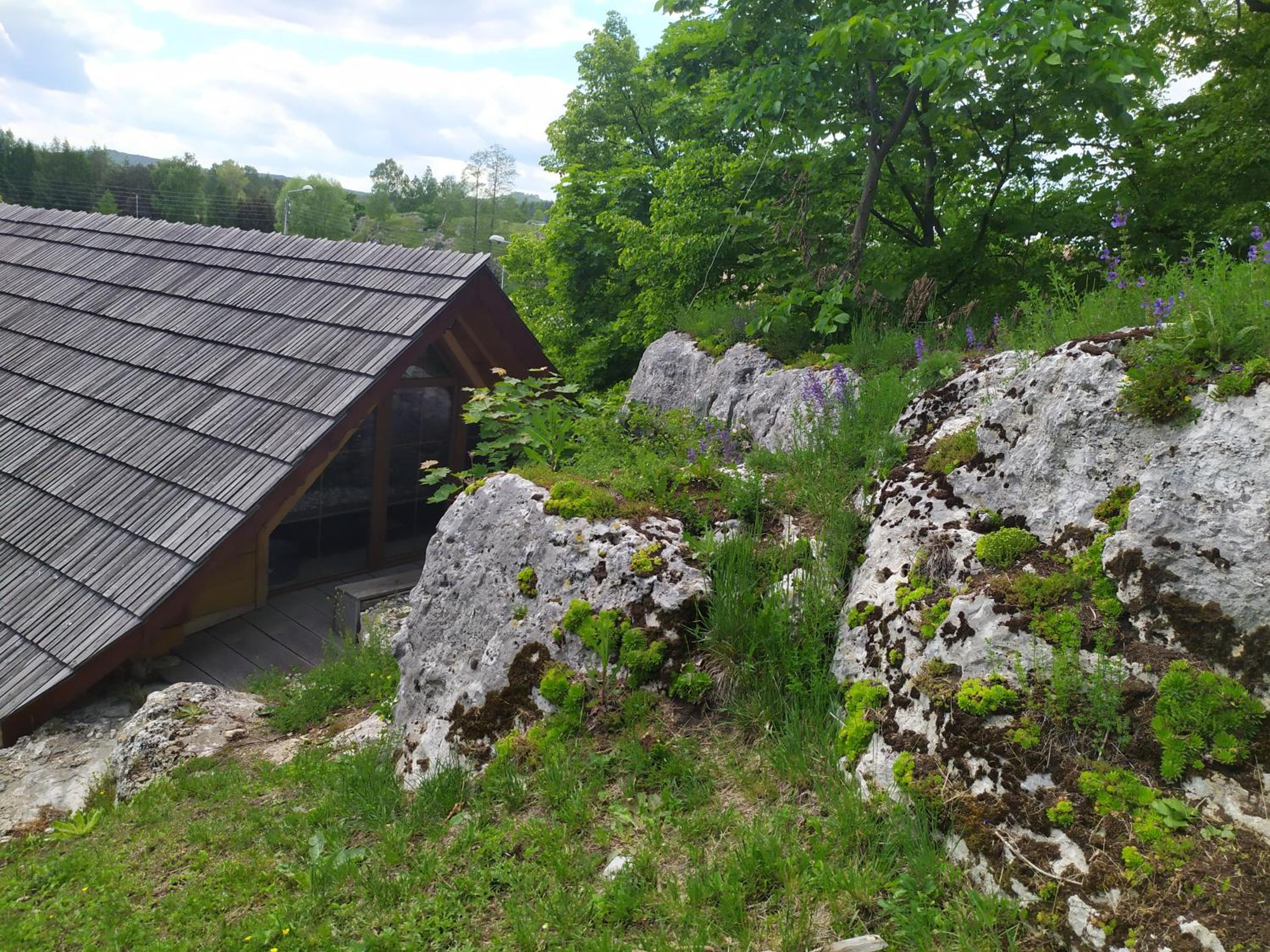 Photo 23