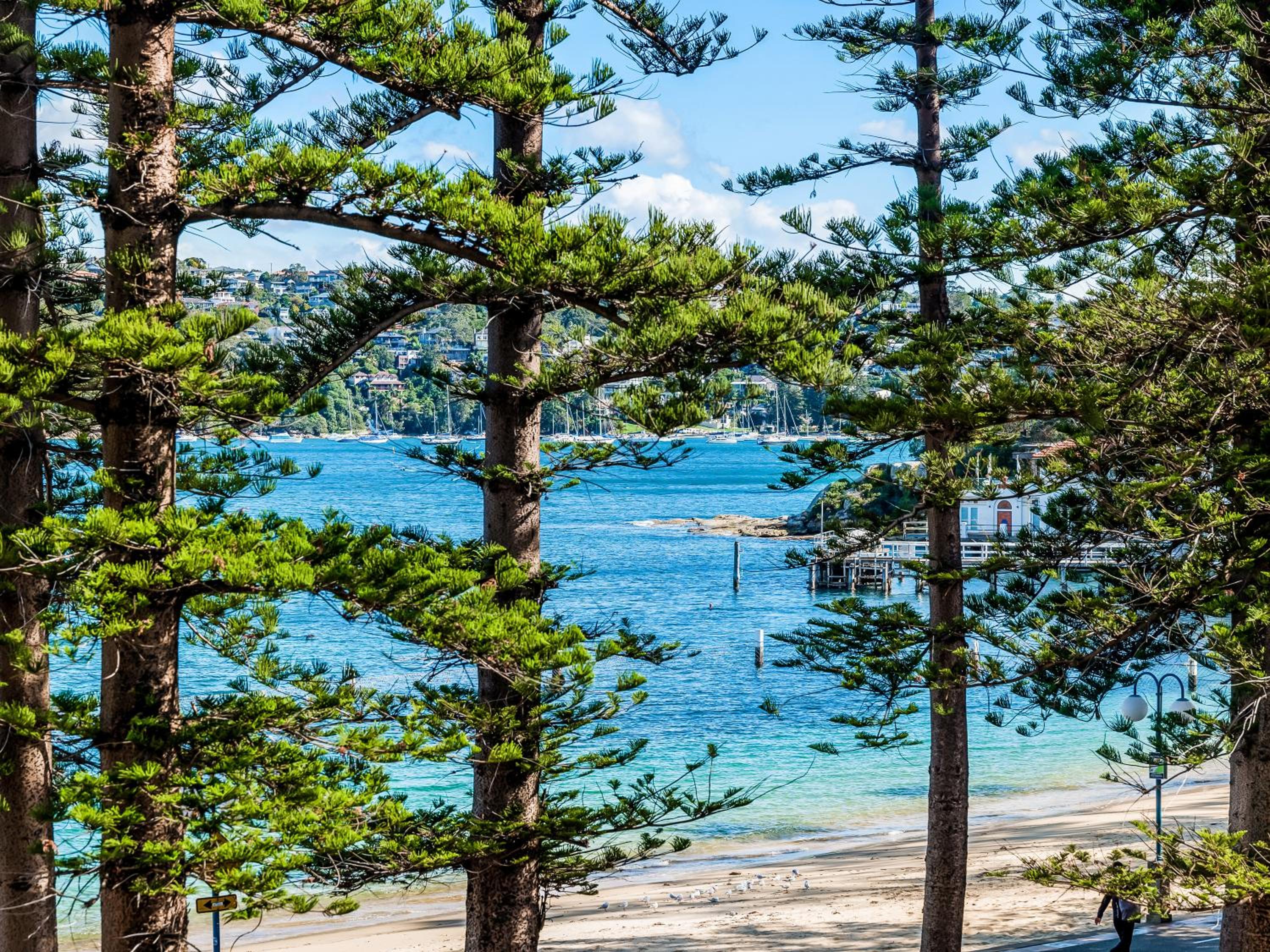 Quest Manly photo 4