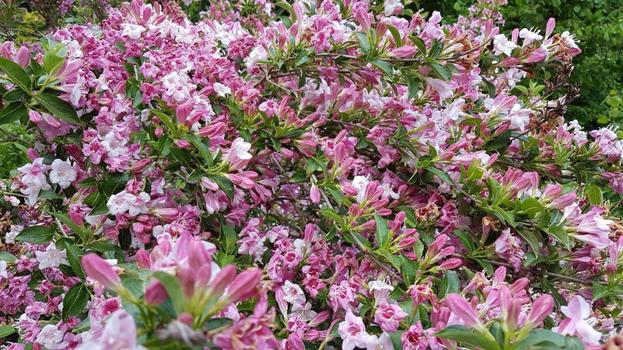 Photo 49