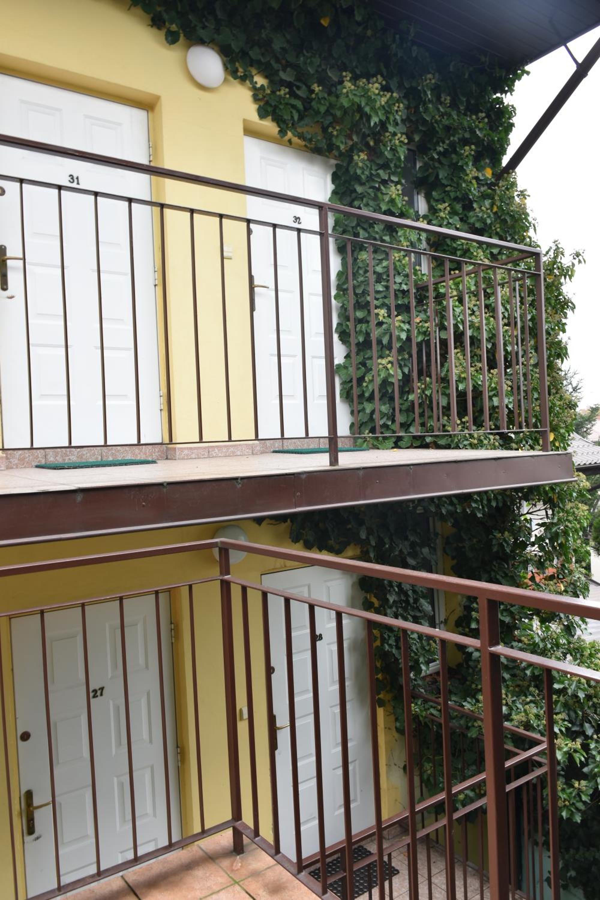 Hostel Malva