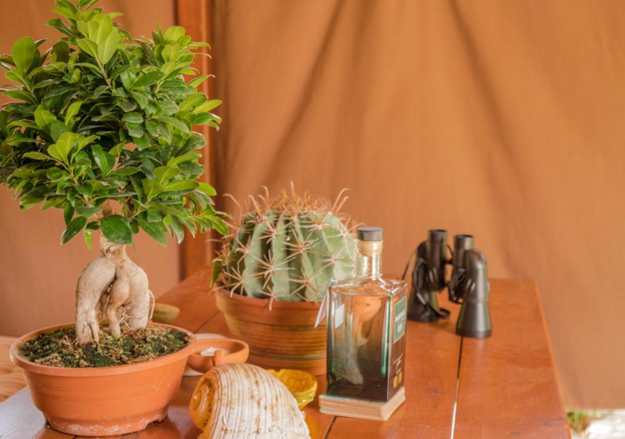SANTA CRUZ country cottage photo 4