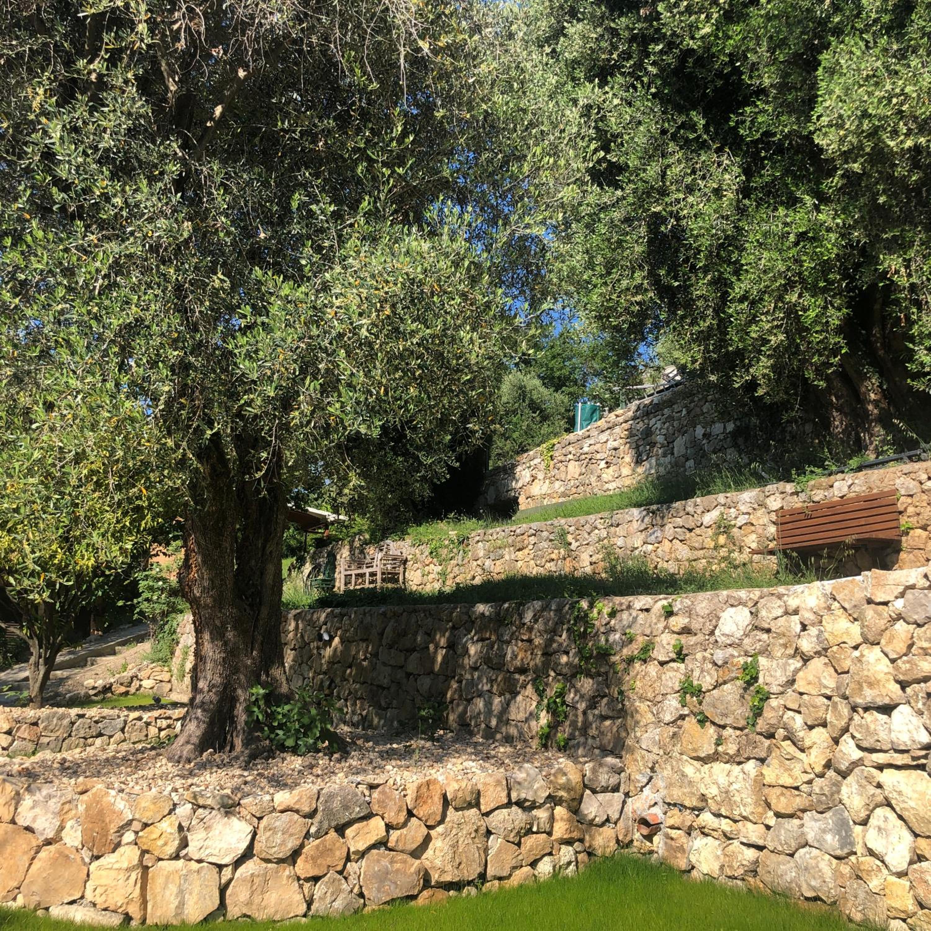 Photo 38