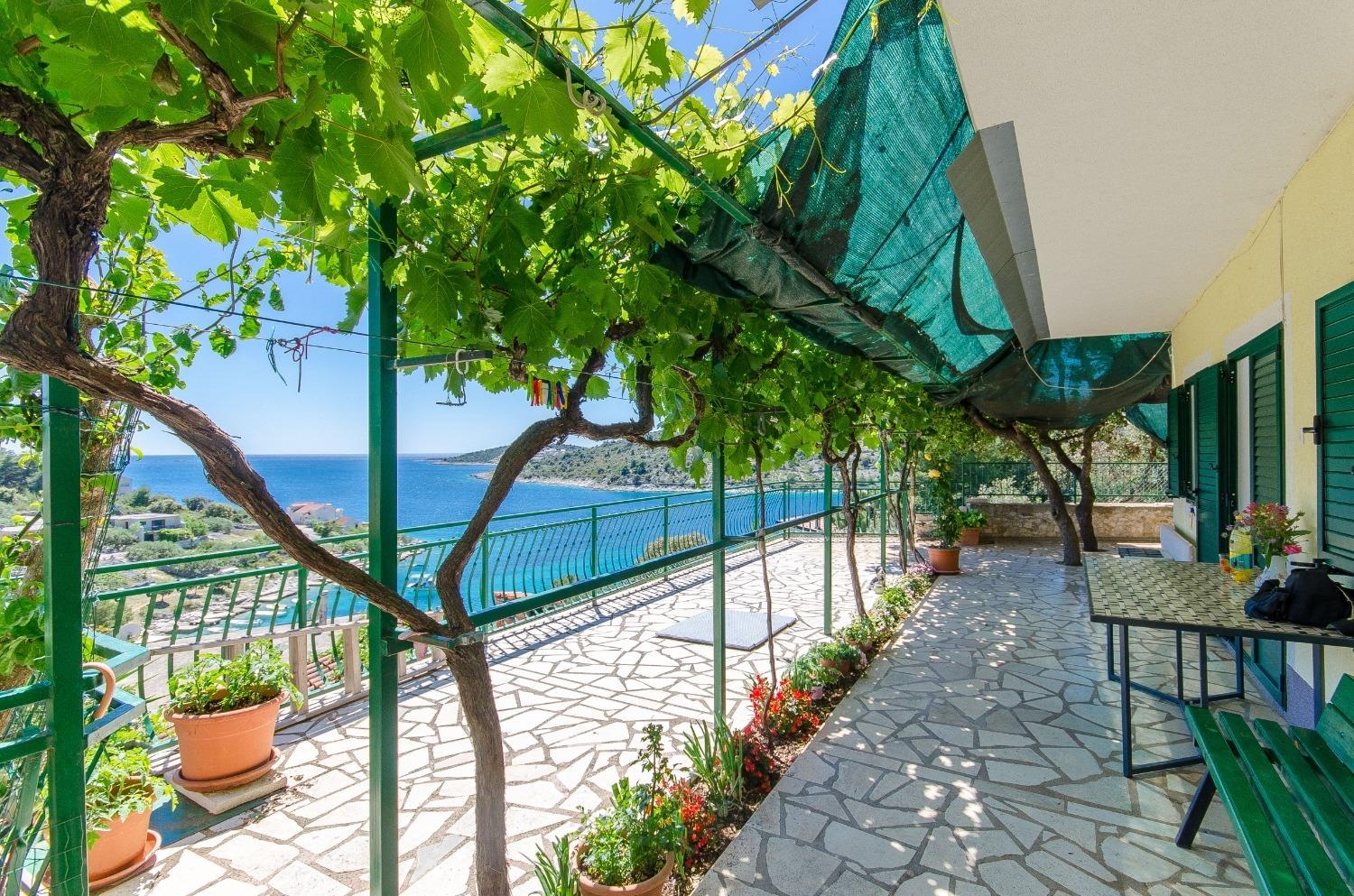 Apartments Bosiljka - by the sea view 4