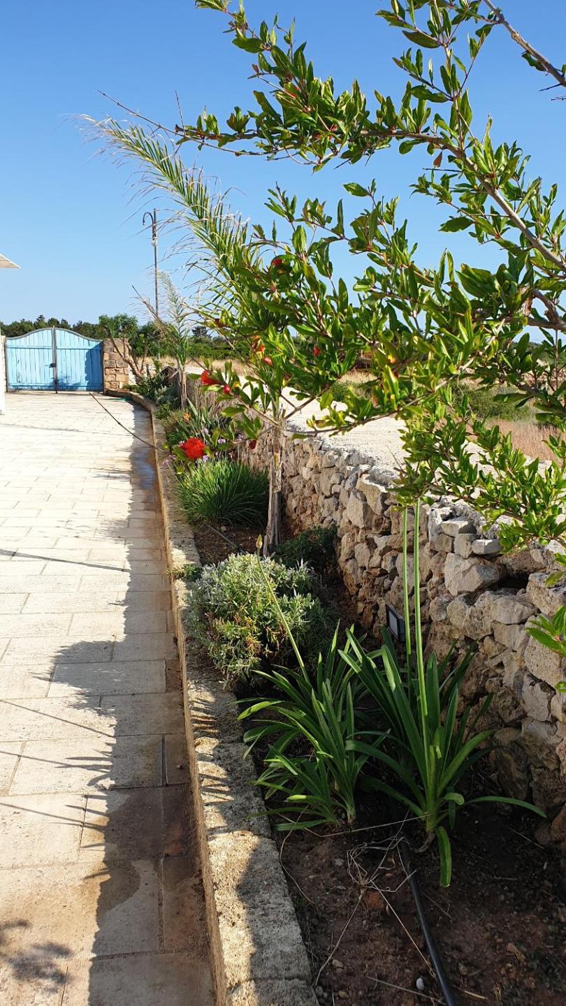 Ville Torre del Pizzo view 5