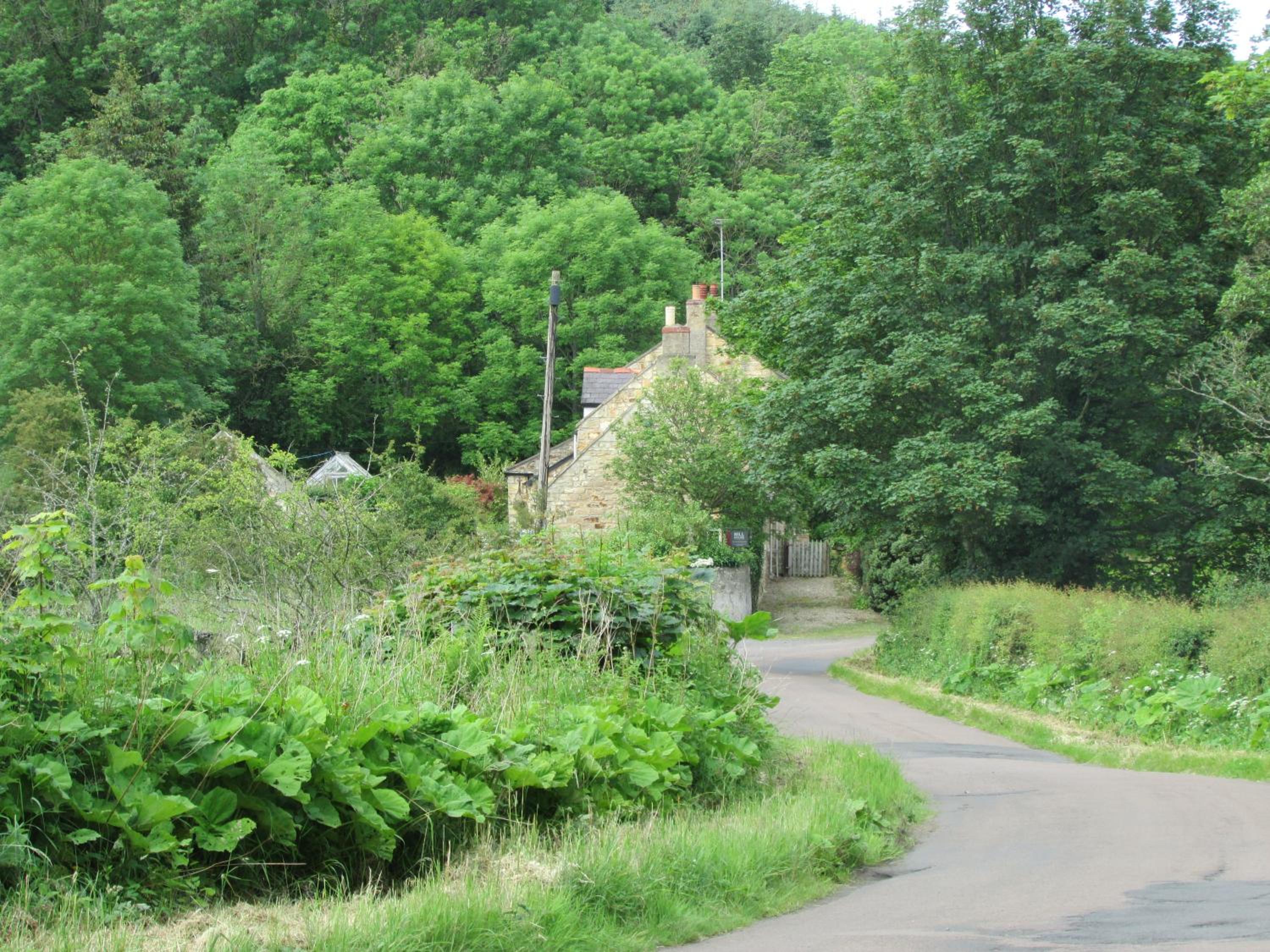 Mill House Cottage view 2