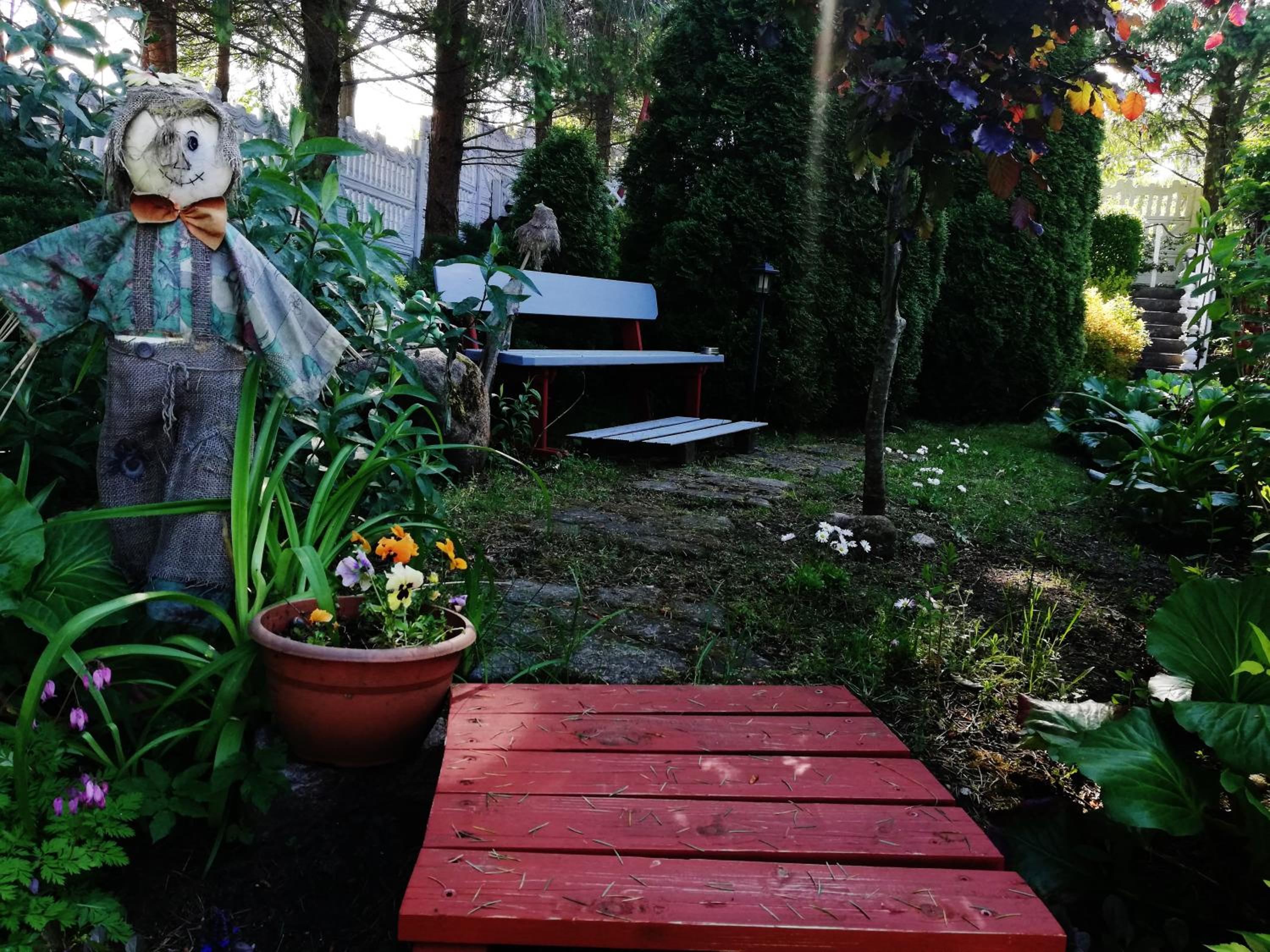 Photo 20