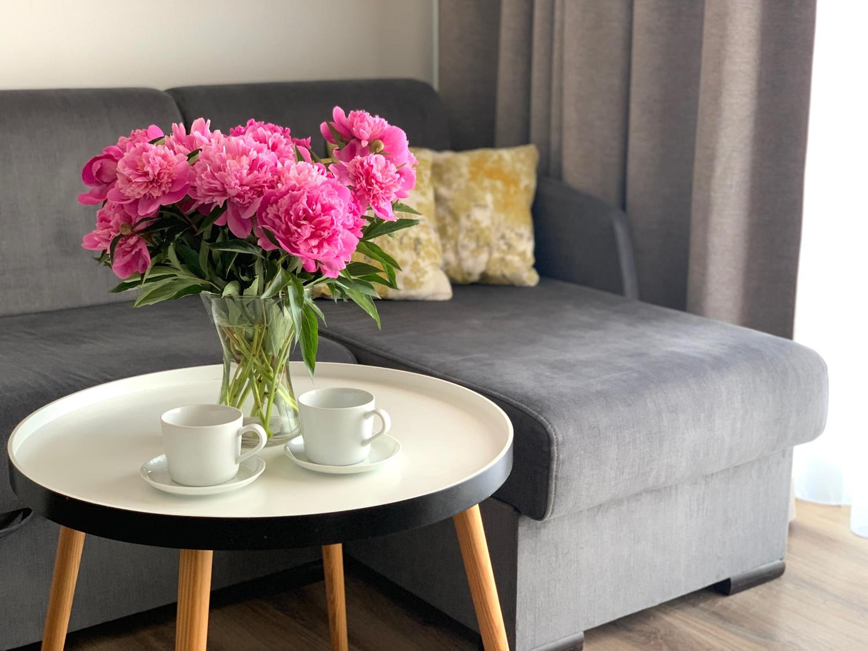 Apartament Livia