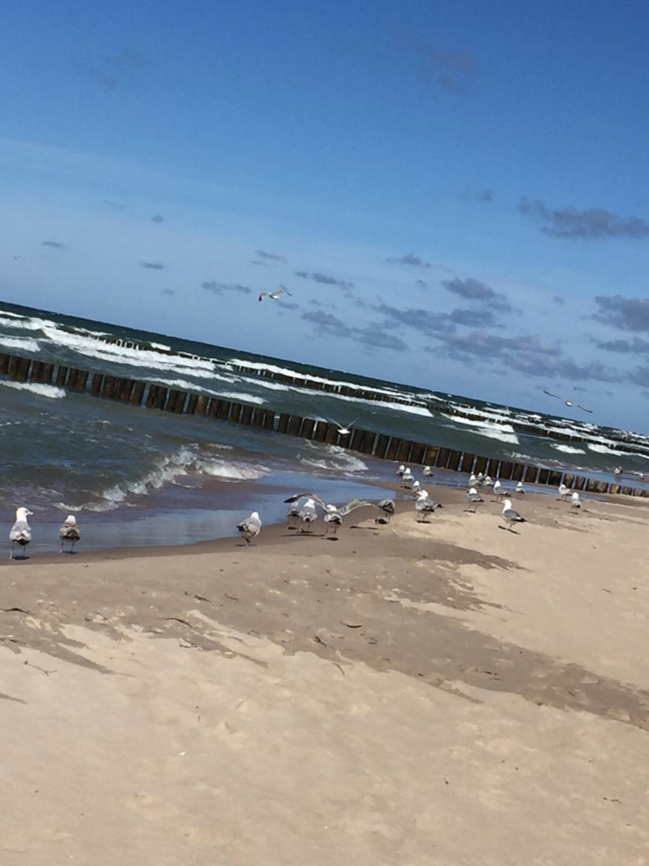 Domki ALEX przy plaży