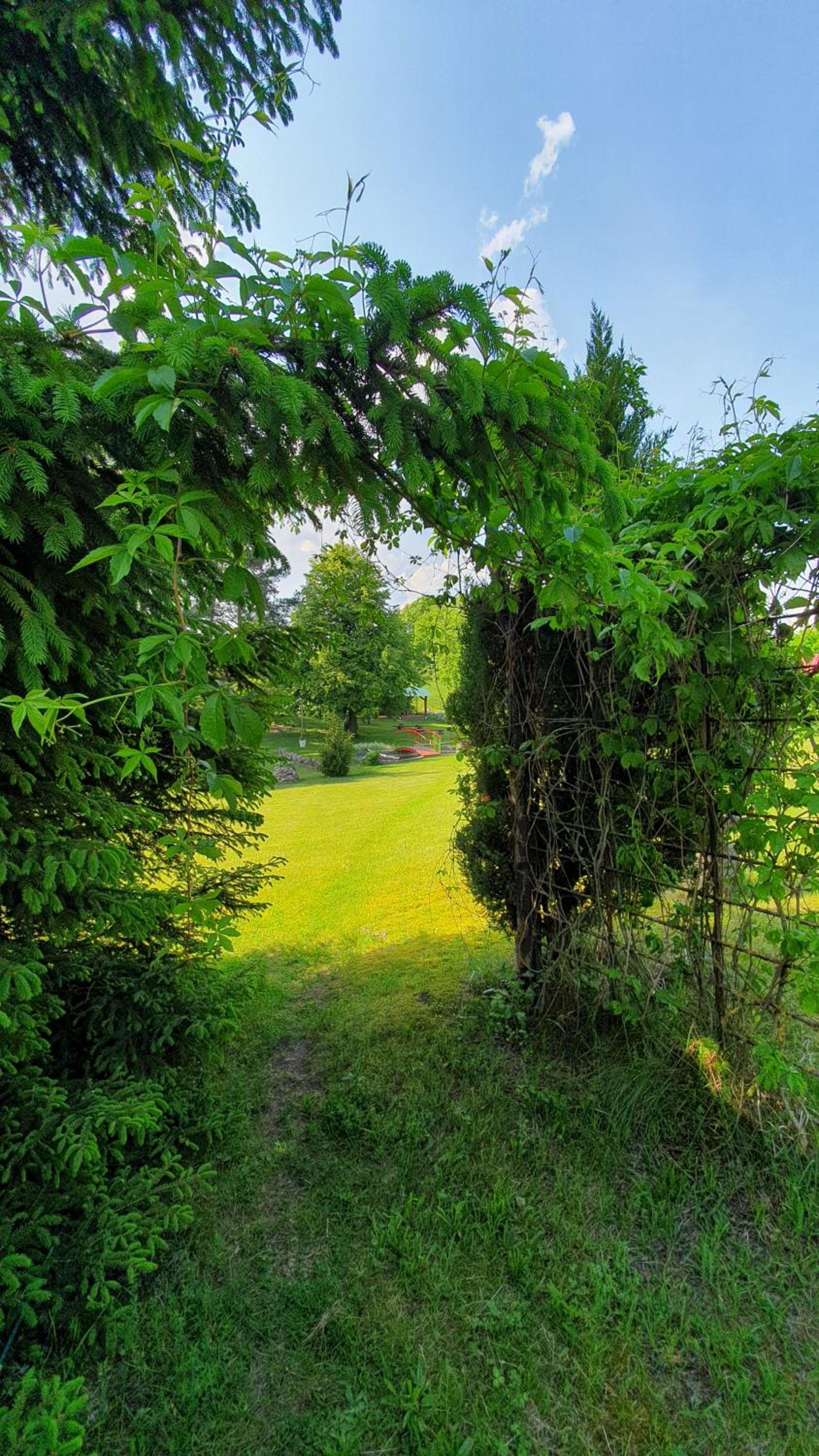 Photo 41