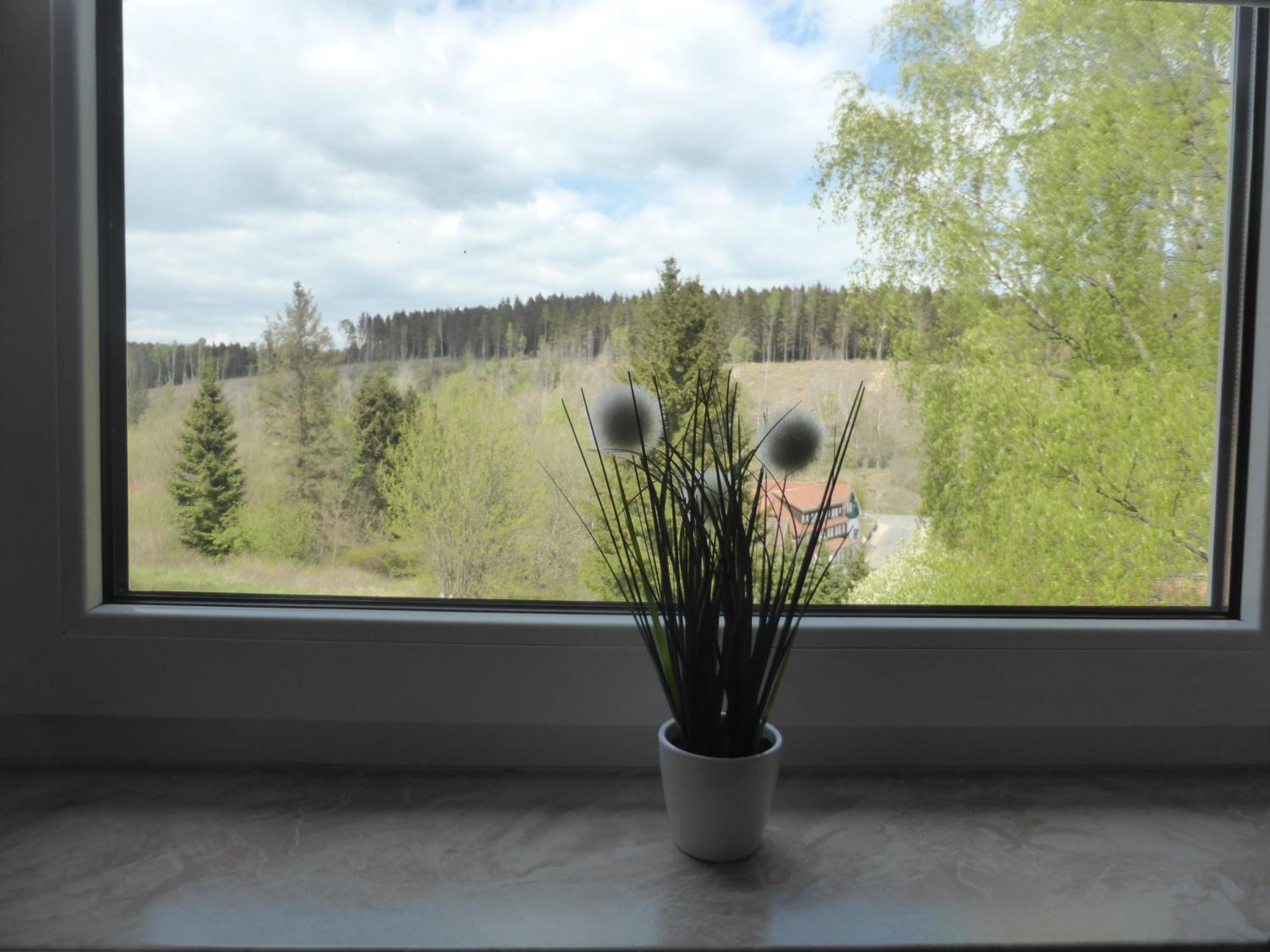 Photo 56