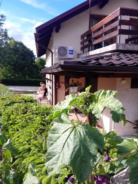 Guesthouse Marton view 2