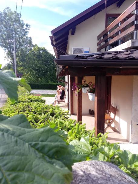 Guesthouse Marton view 5