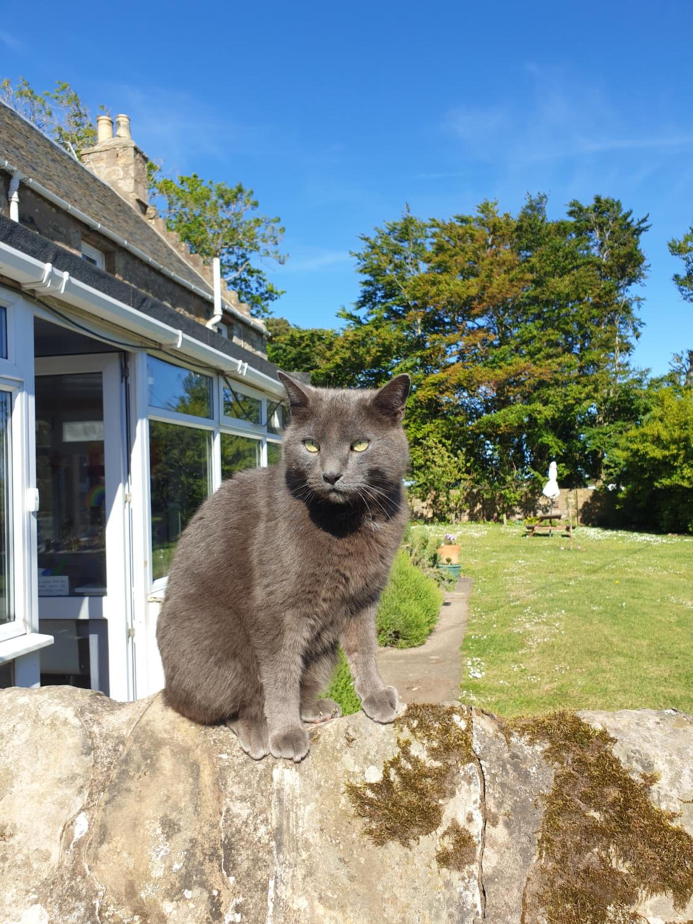 Scooniehill Farm House B&B, photo 14